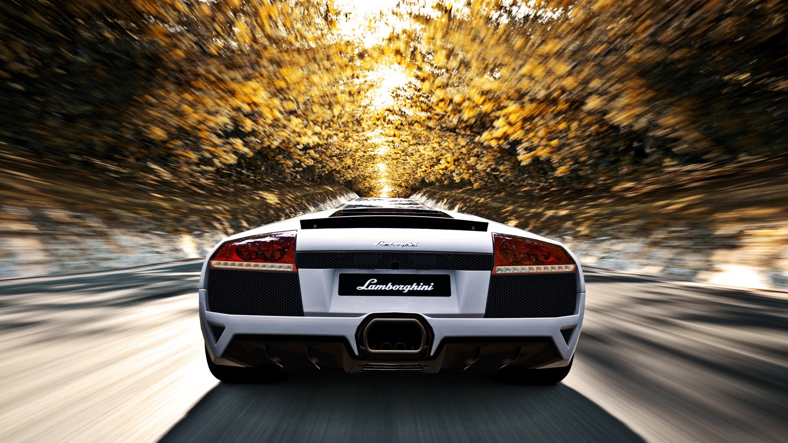 General 2560x1440 trees car Lamborghini depth of field motion blur road Lamborghini Murcielago