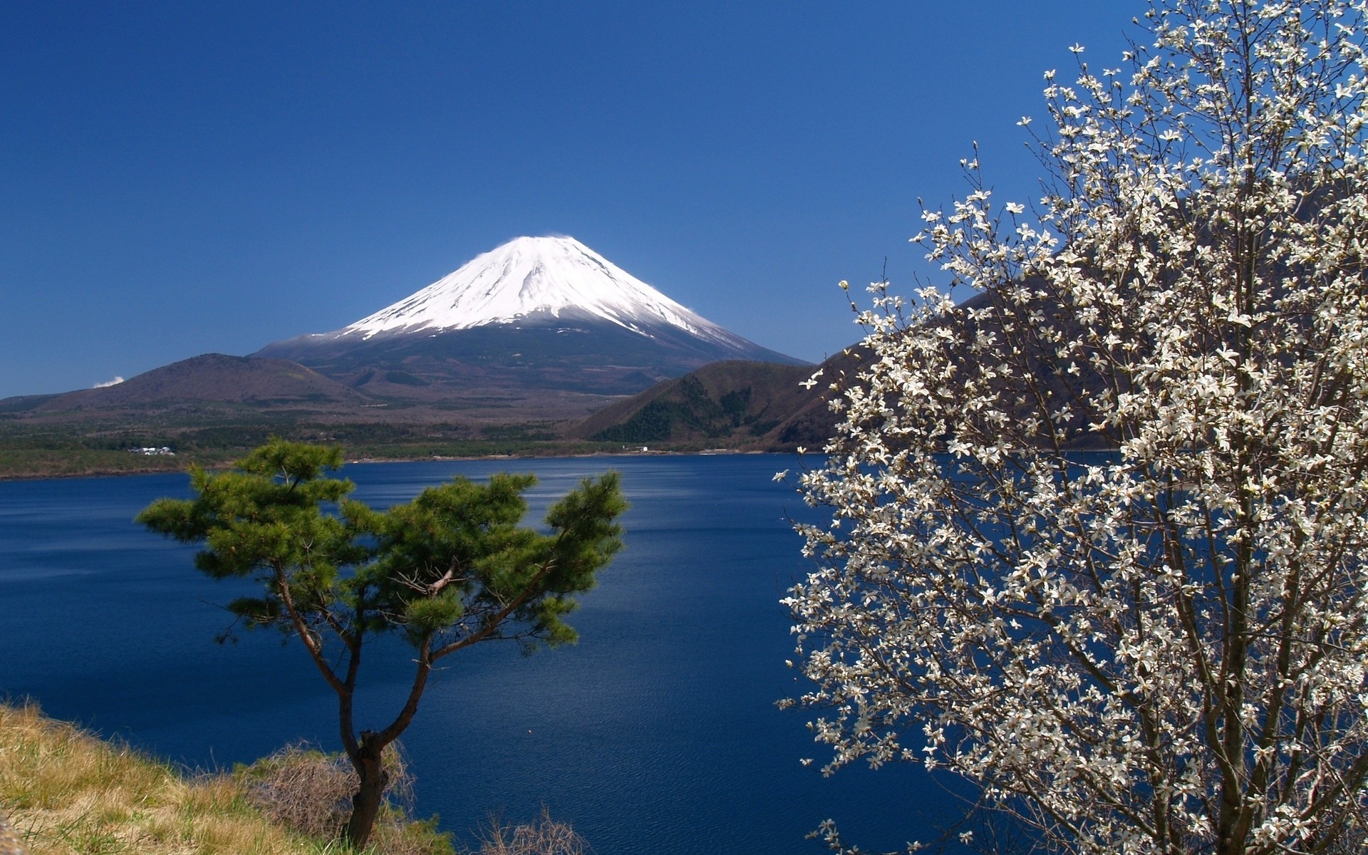 General 1920x1200 sky Mount Fuji sea trees blossoms landscape retouching Japan spring
