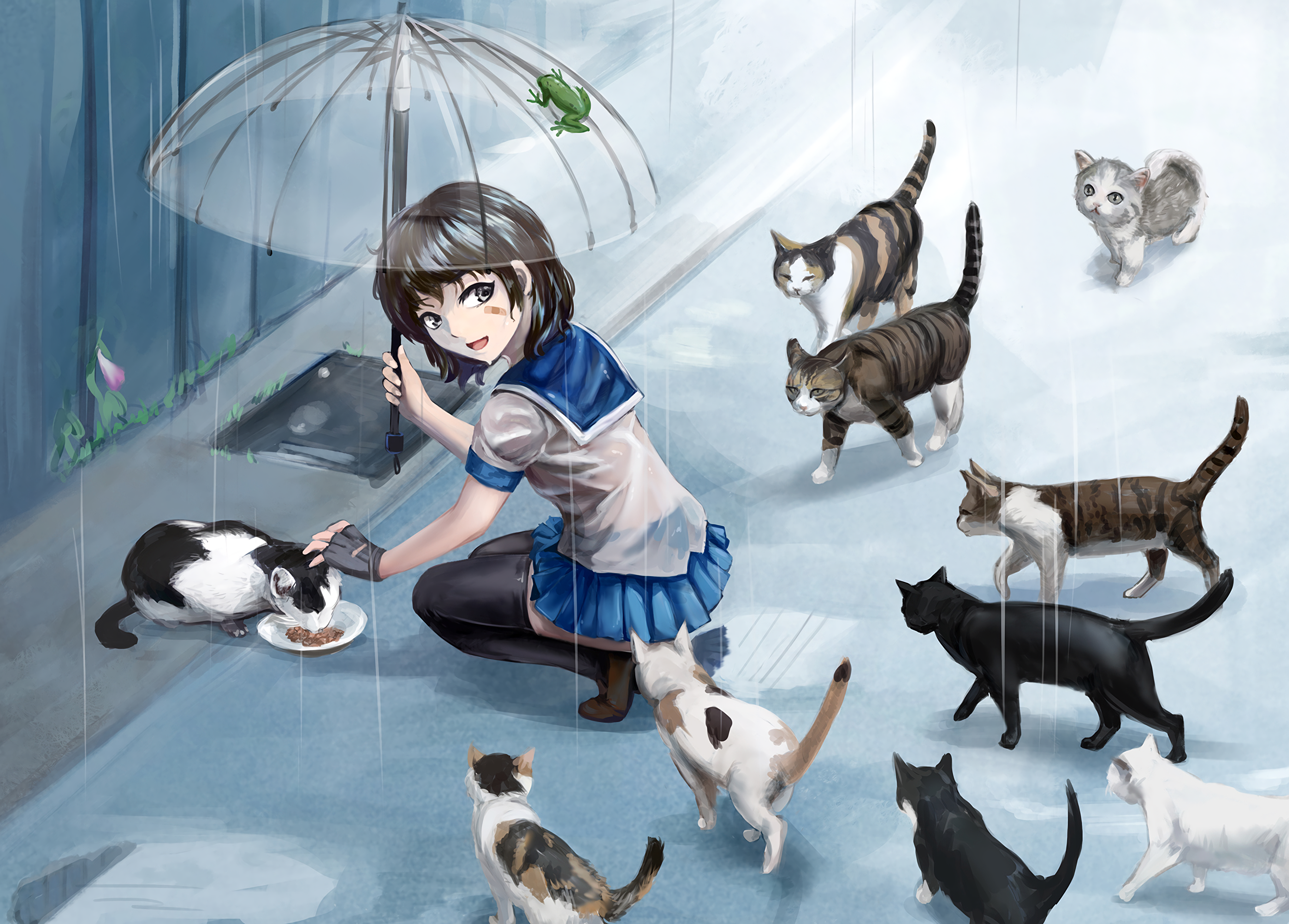 Anime 3480x2494 anime anime girls umbrella wet wet clothing rain cats short hair brunette stockings