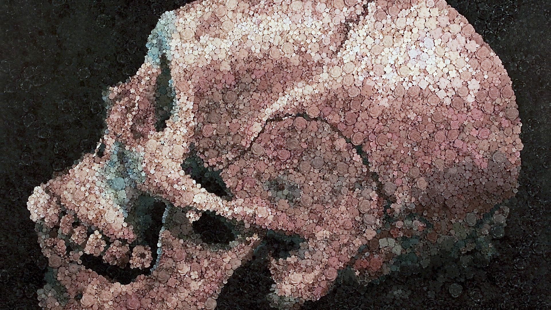 General 1920x1080 skull rose flowers painting transformation bones skull and bones