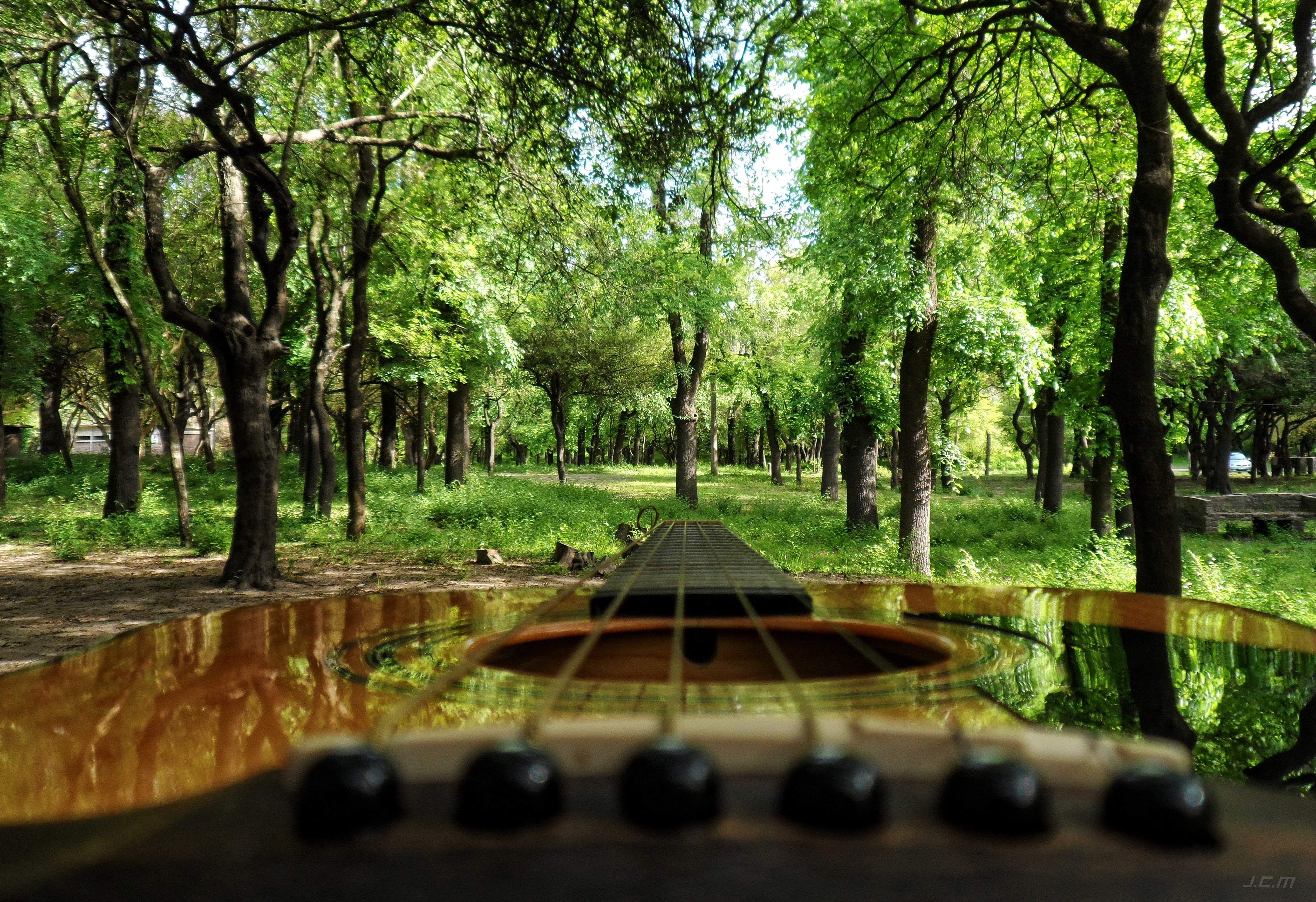 General 4492x3078 Uruguay  musical instrument trees outdoors plants green guitar