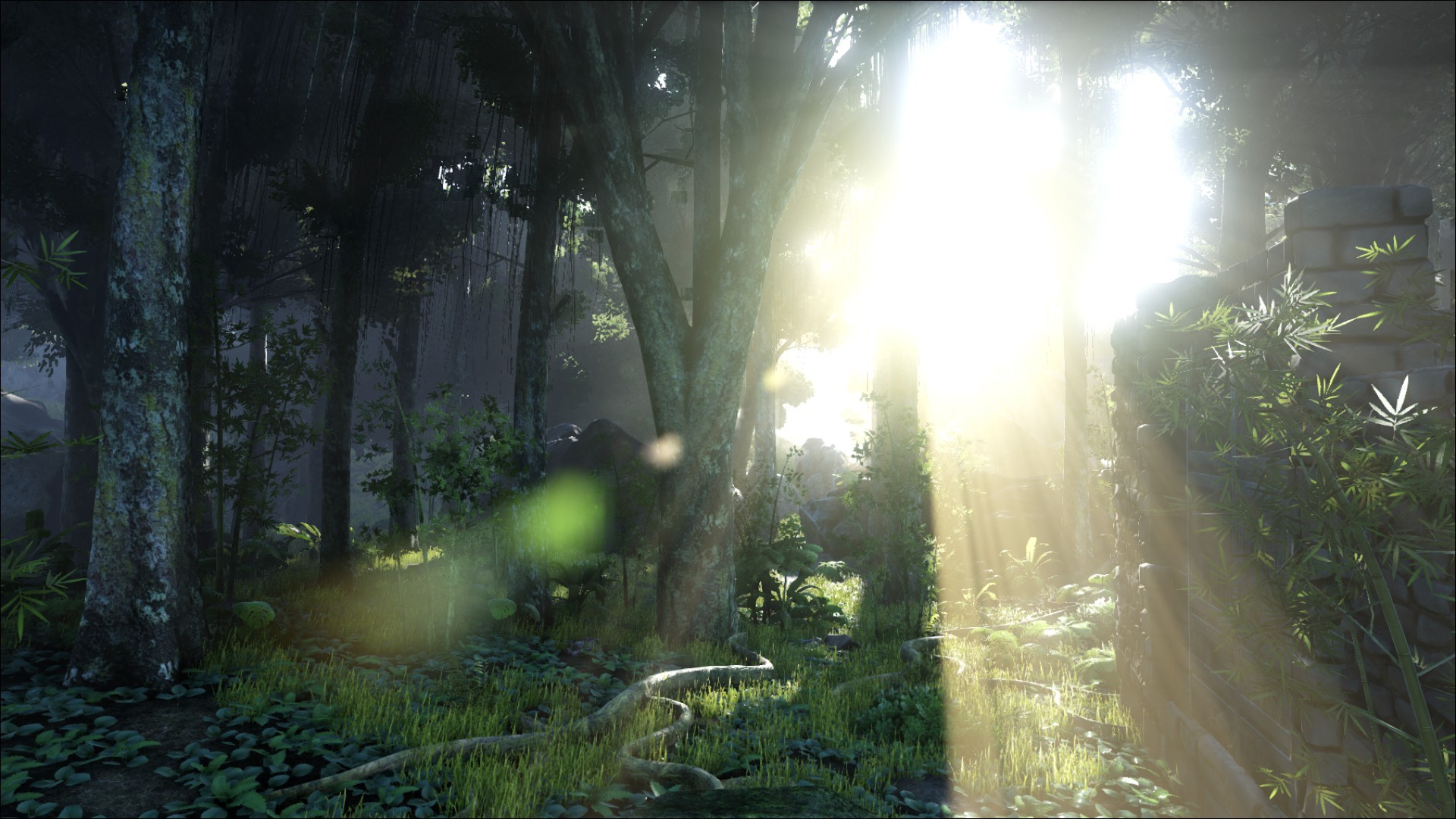 General 1920x1080 Ark: Survival Evolved video games The Island sunlight jungle PC gaming screen shot