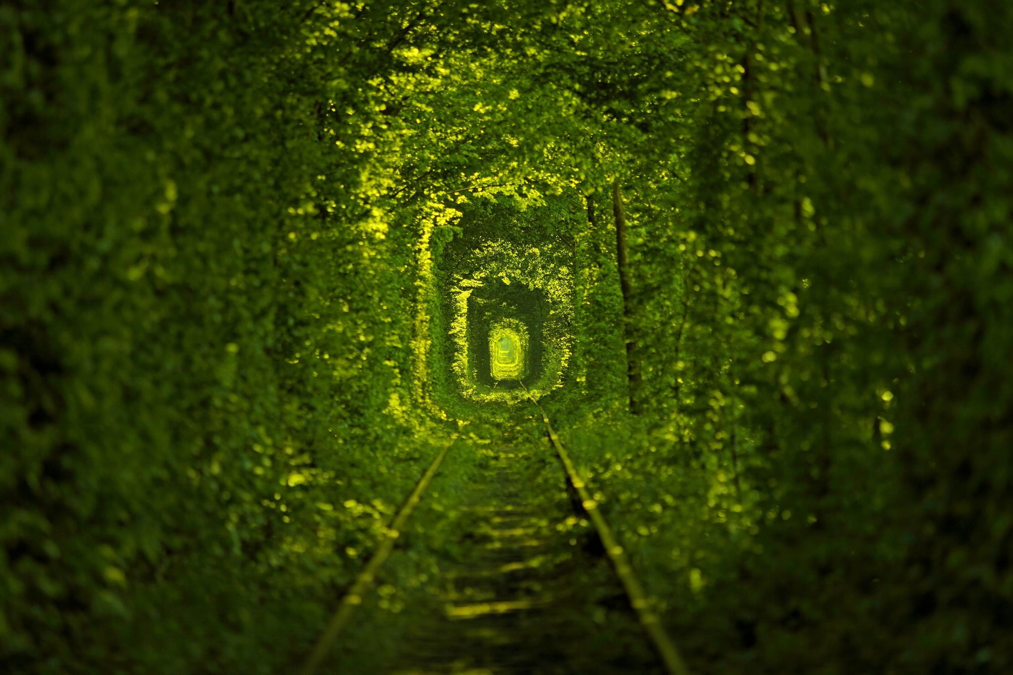General 2048x1365 nature railway trees green leaves tunnel Tunnel of Love tunnel of trees sunlight