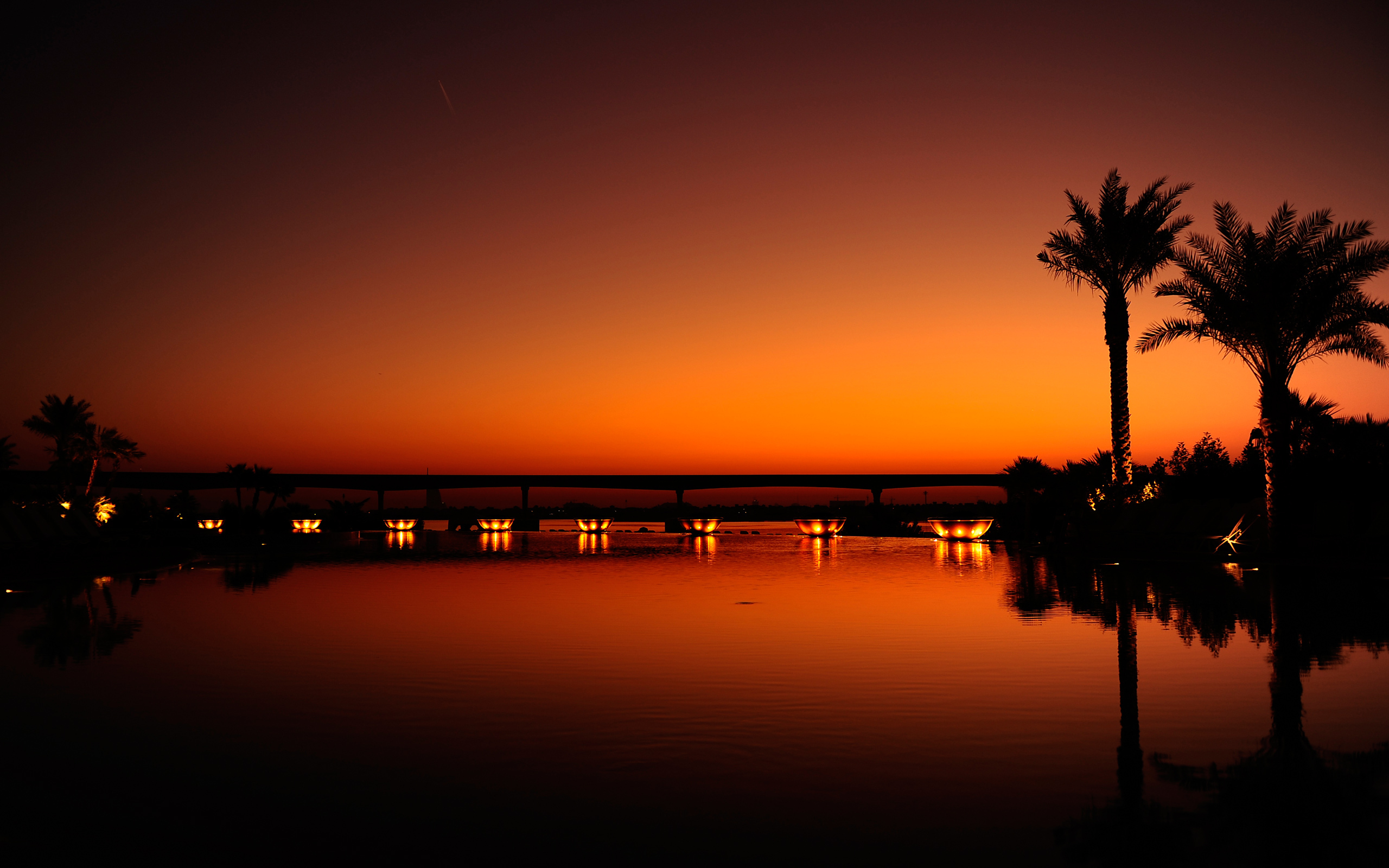General 2560x1600 landscape sunset palm trees reflection water lights Dubai dark sky low light