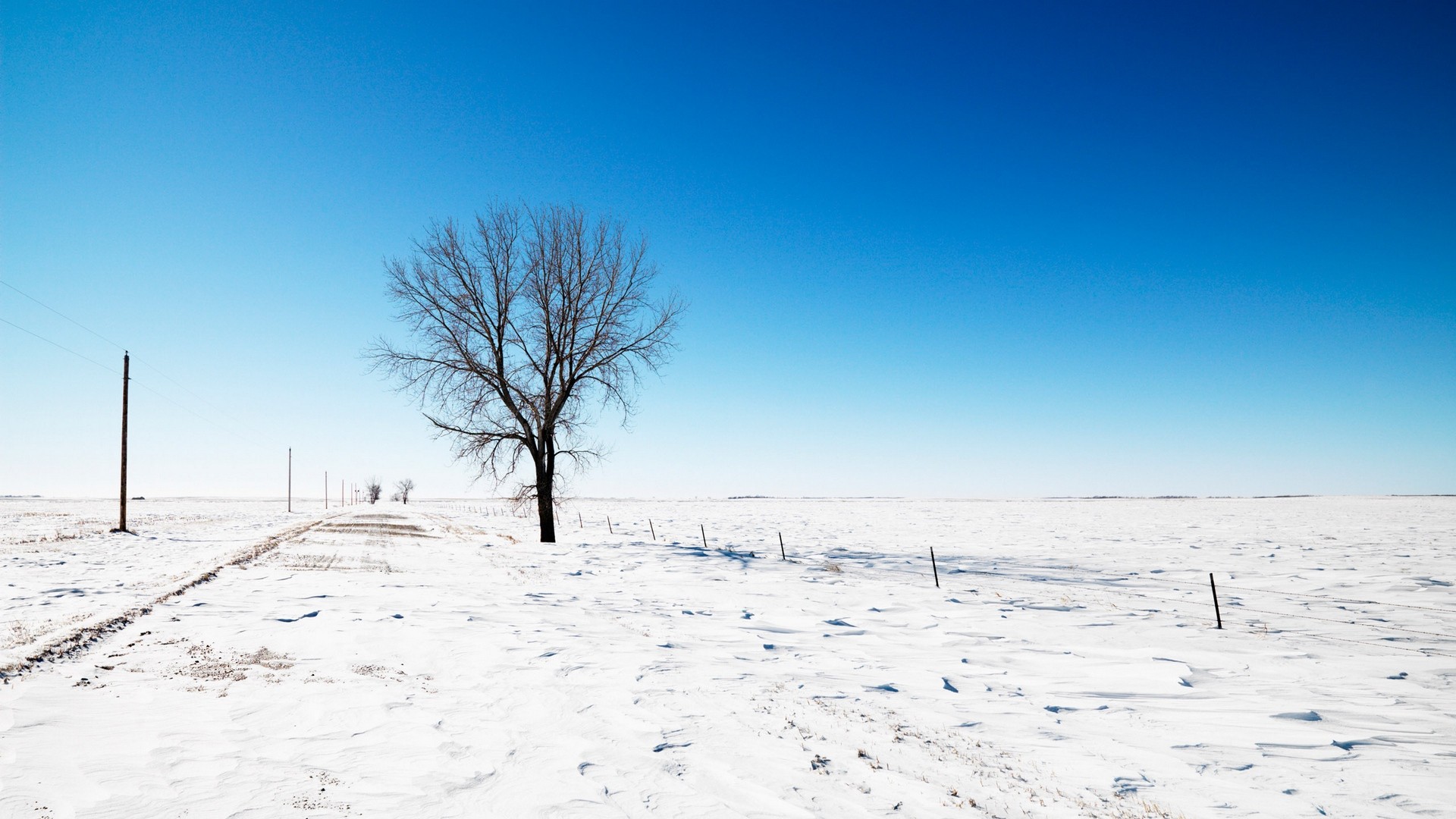 General 1920x1080 trees snow cold ice winter landscape outdoors field