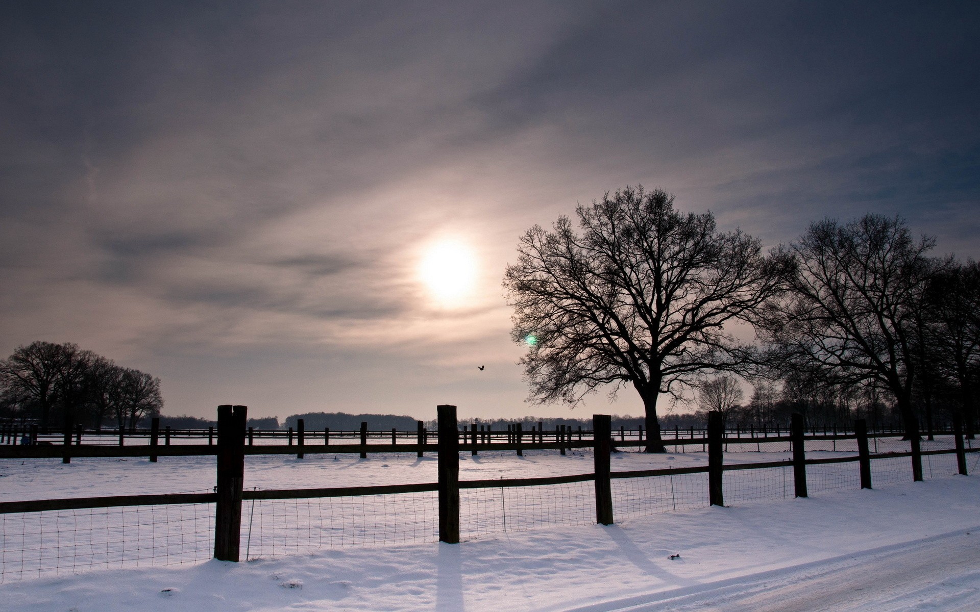 General 1920x1200 snow fence nature winter trees landscape