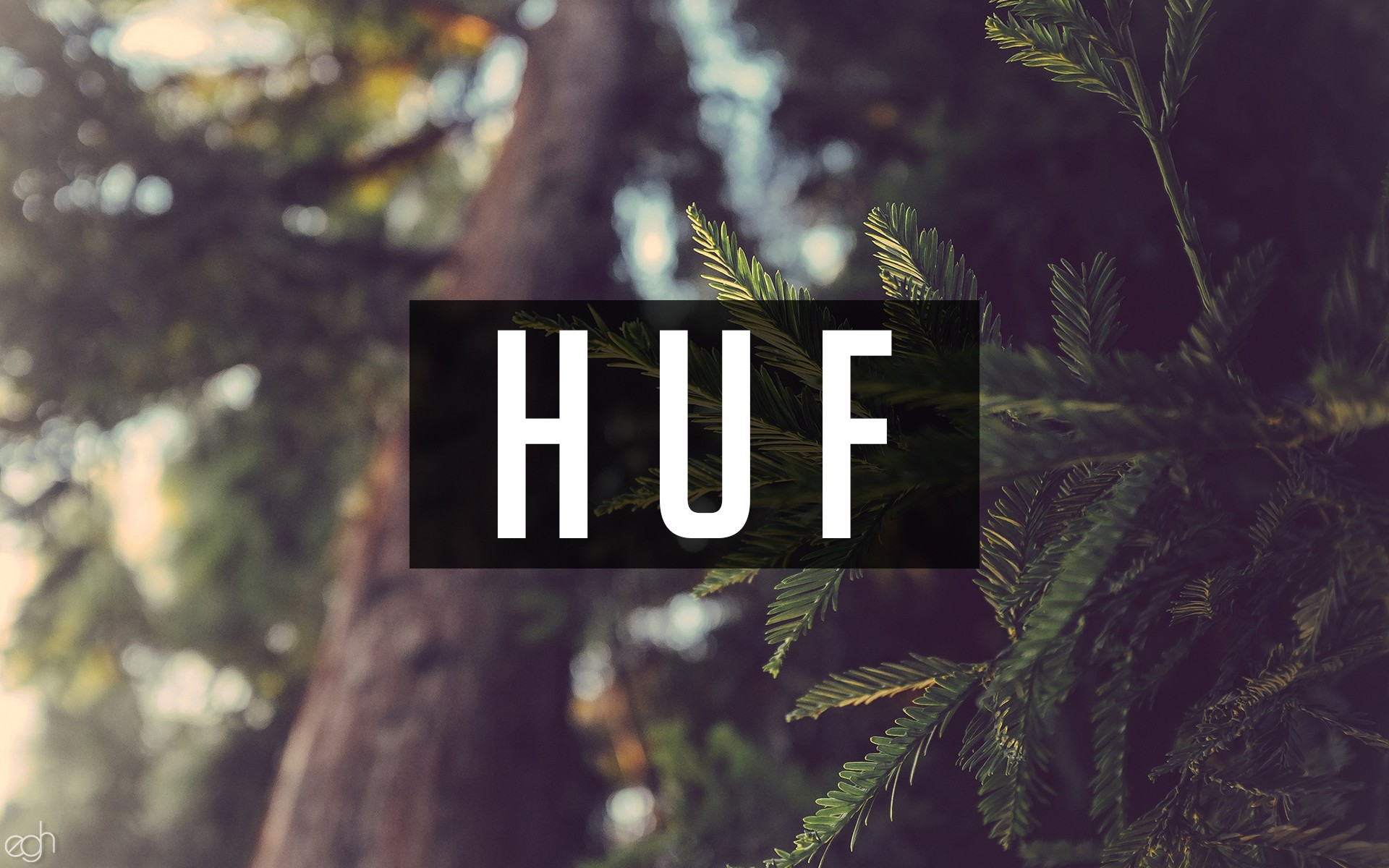 General 1920x1200 huf nature writing forest digital art text