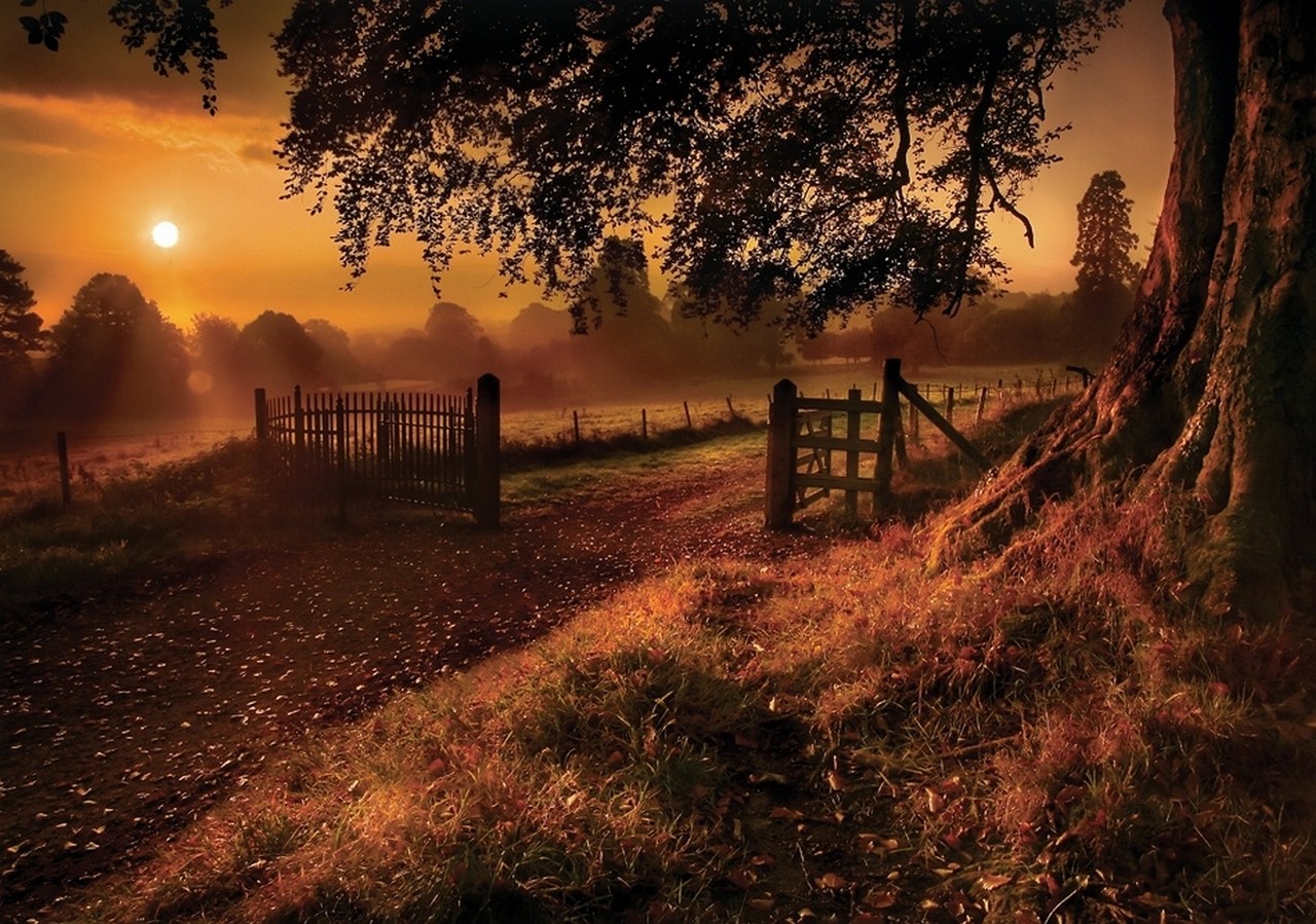 General 1280x899 fall trees grass fence gates road sun rays nature landscape field