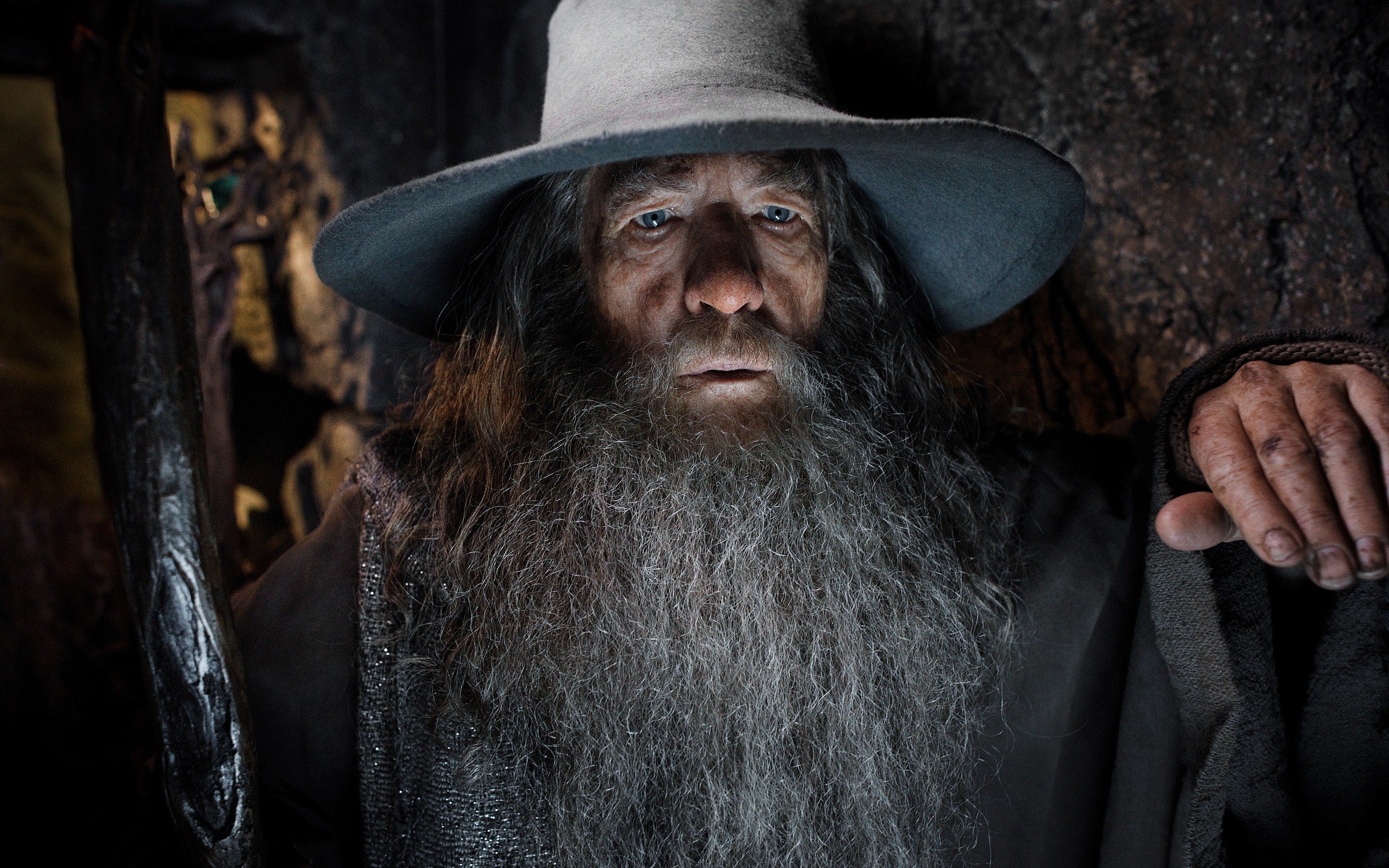 People 2560x1600 Gandalf The Hobbit The Hobbit: The Desolation of Smaug Ian McKellen men actor wizard beard