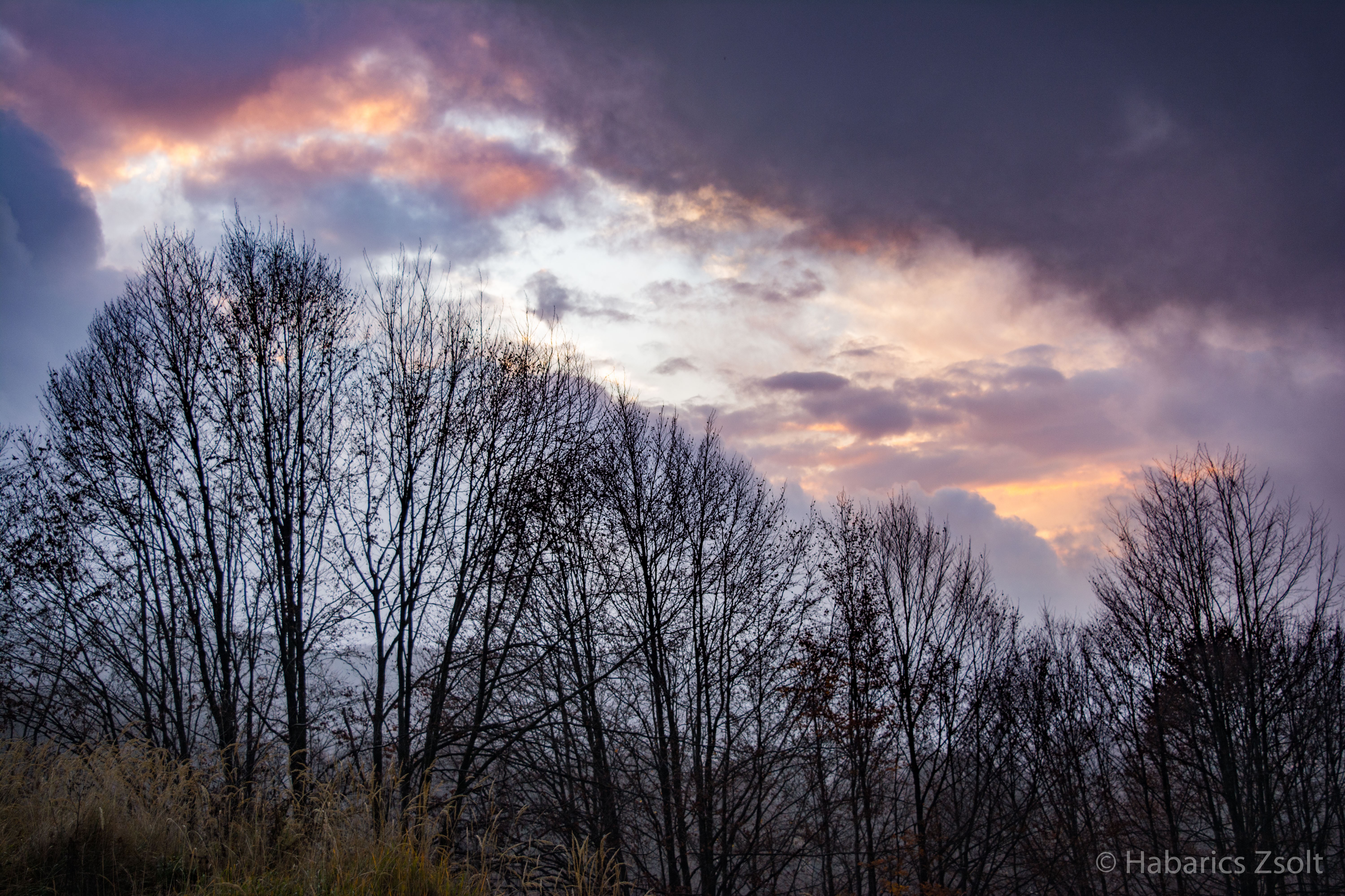 General 6000x4000 trees clouds outdoors fall nature sky