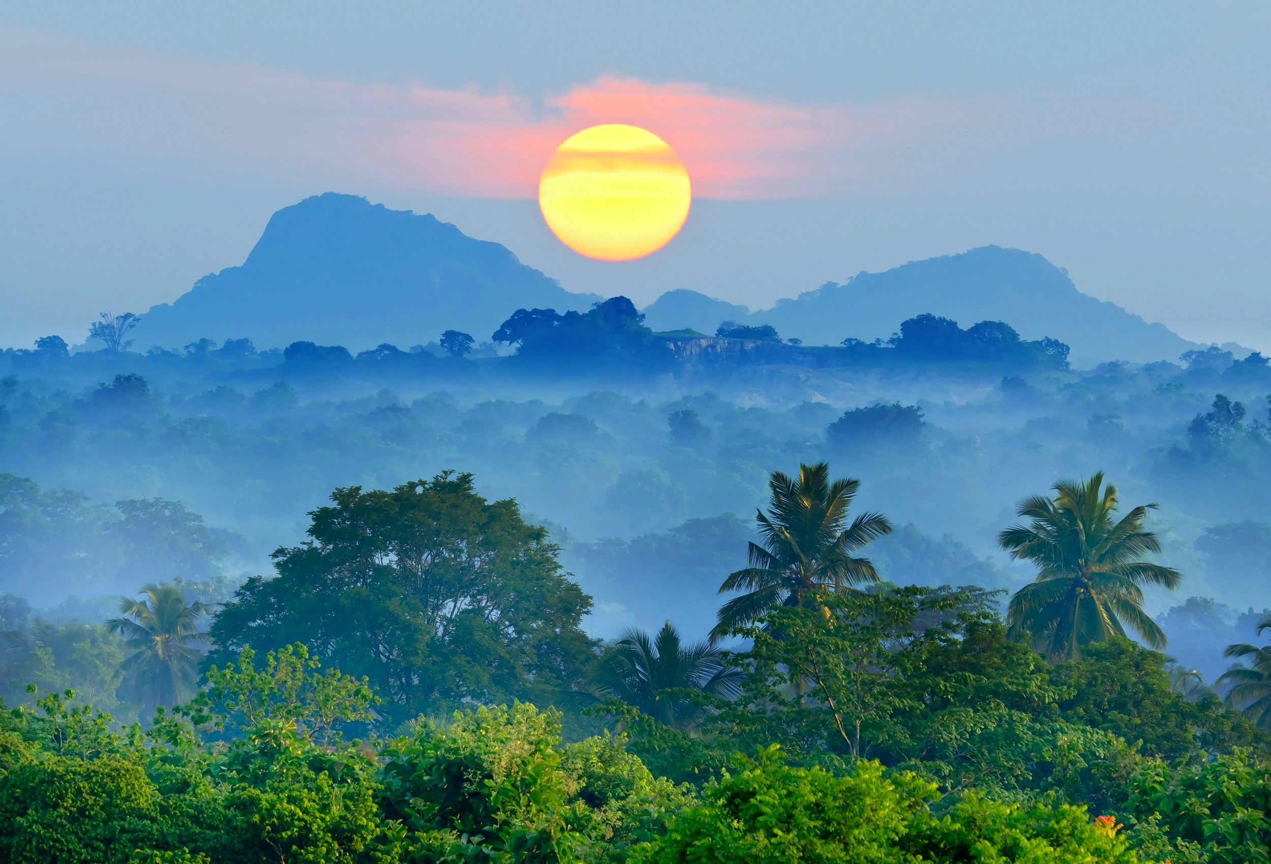 General 2500x1700 nature landscape mist sunset mountains blue forest palm trees tropical