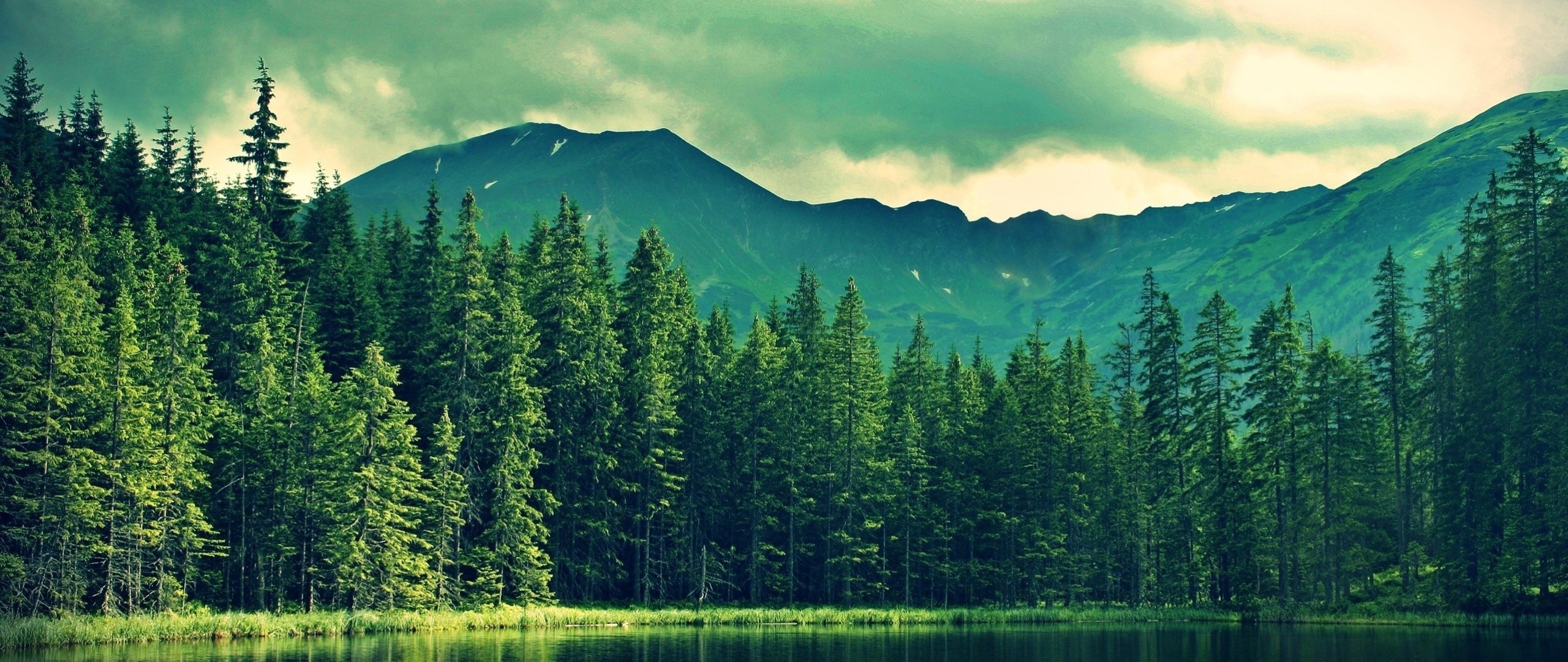 General 2560x1080 landscape mountains color correction forest pine trees nature