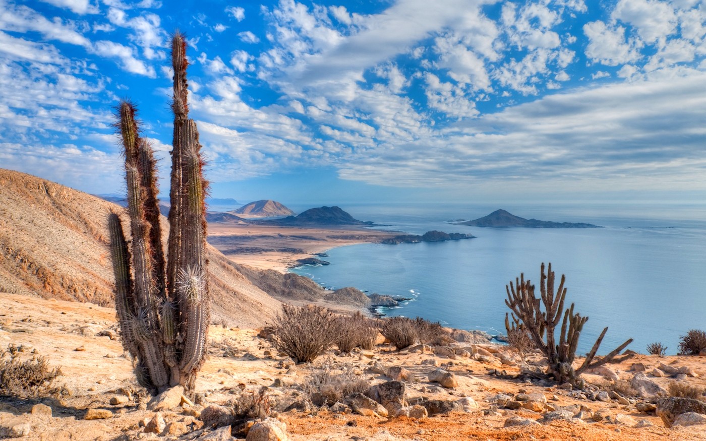 General 1400x875 nature landscape beach cactus sea hills clouds Atacama Desert coast Chile national park desert South America
