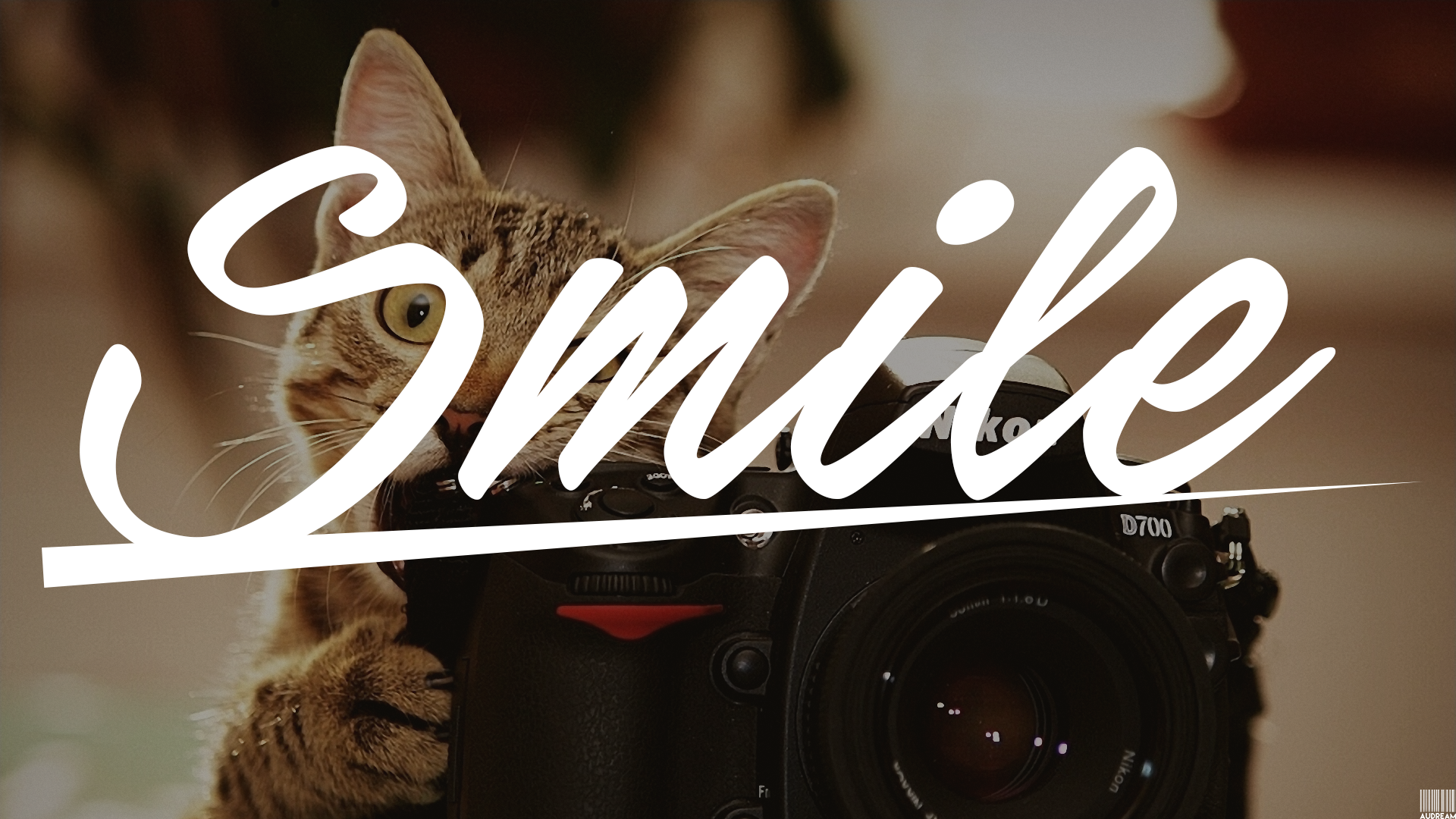 General 1920x1080 cats camera typography animals numbers mammals Nikon smiling