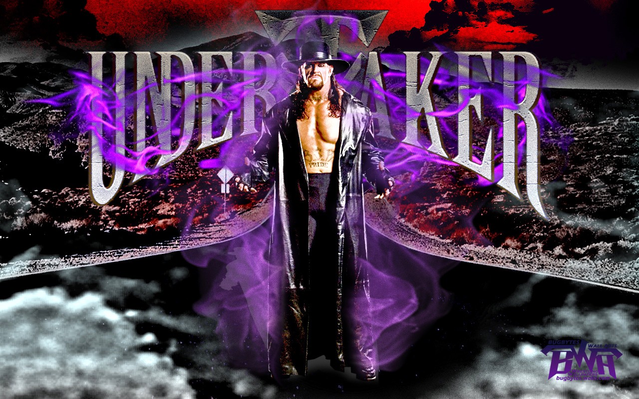 People 1280x800 WWE wrestling purple sport men The Undertaker