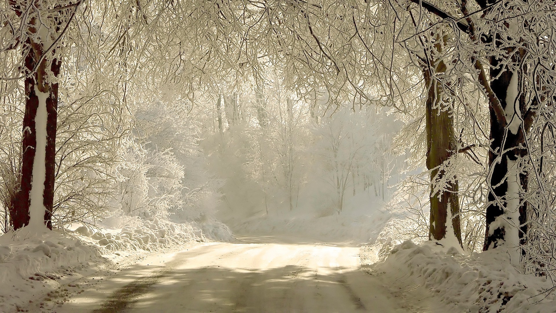 General 1920x1080 forest snow winter road nature