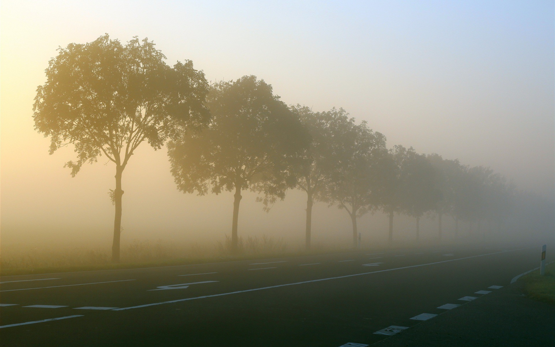General 1920x1200 road trees sunlight mist morning