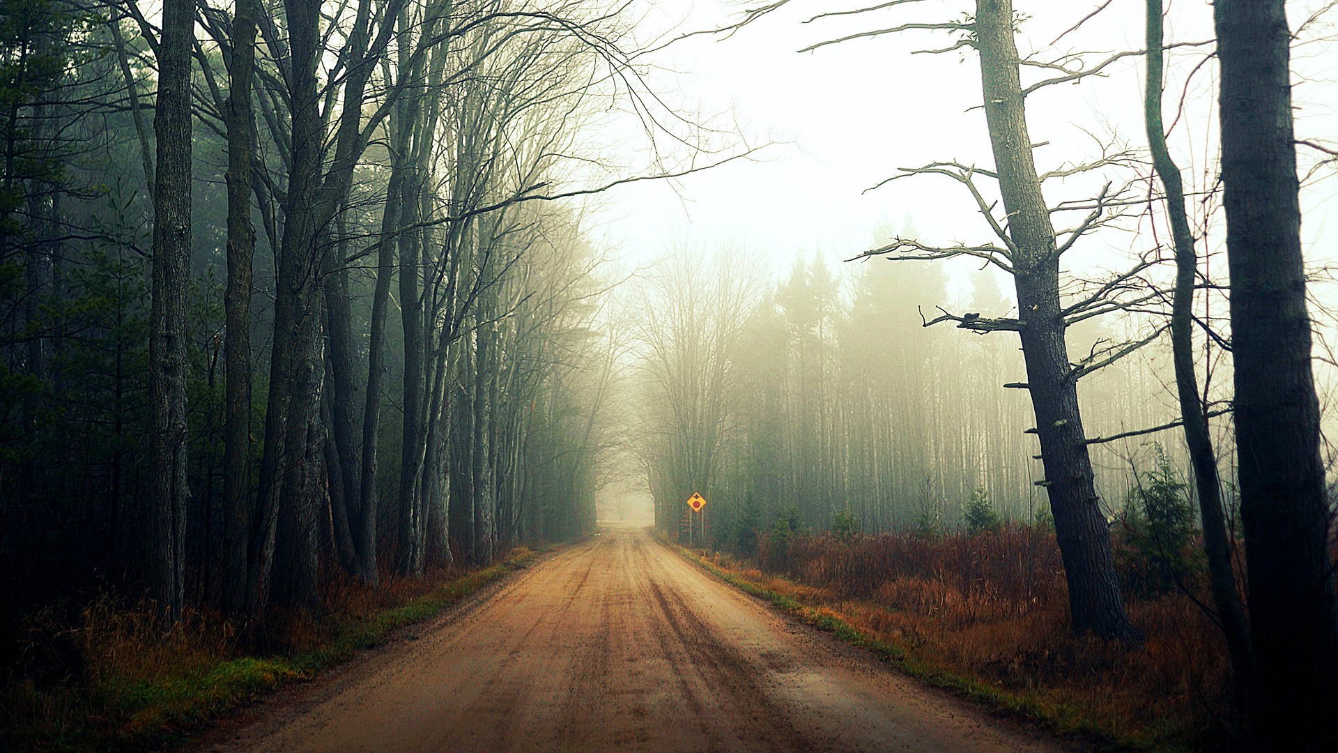 General 1920x1080 road trees forest nature landscape dirt road mist outdoors