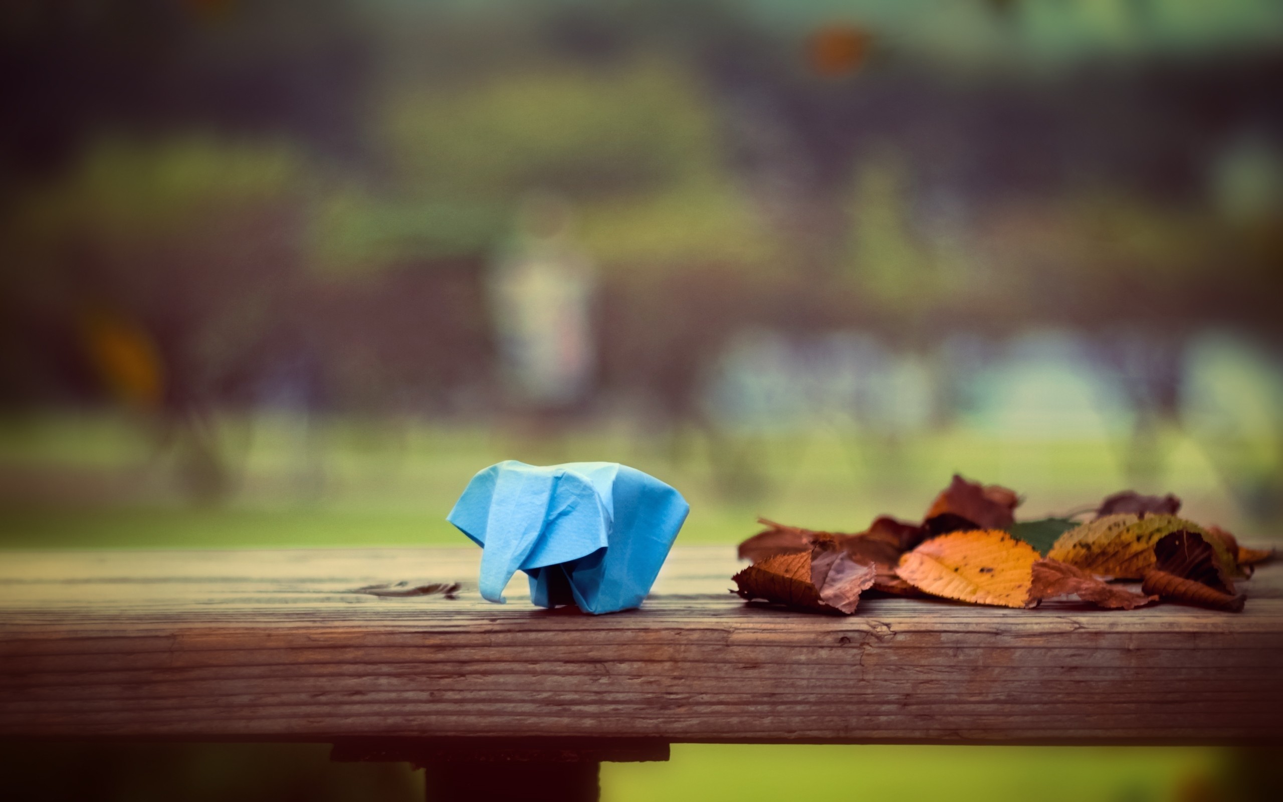 General 2560x1600 leaves fall depth of field animals origami elephant table trees park wood closeup