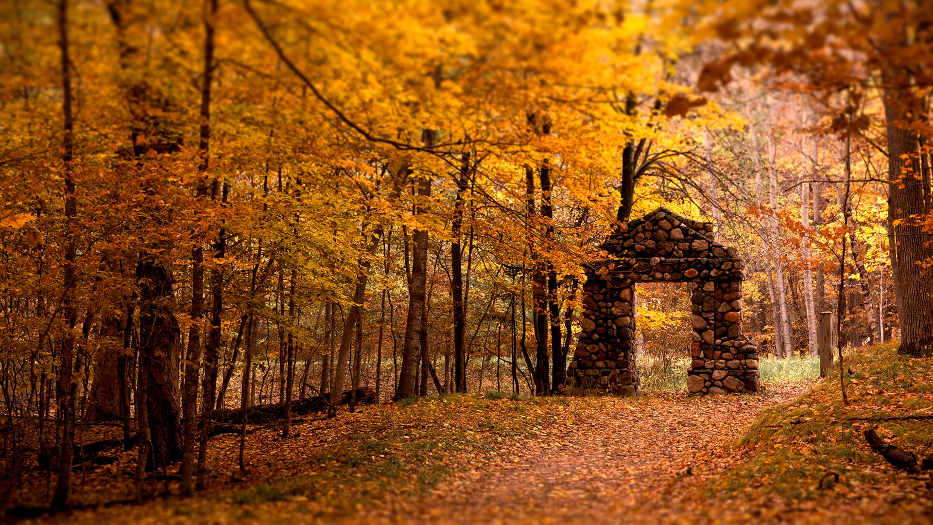 General 1920x1080 fall nature trees leaves ruins outdoors plants