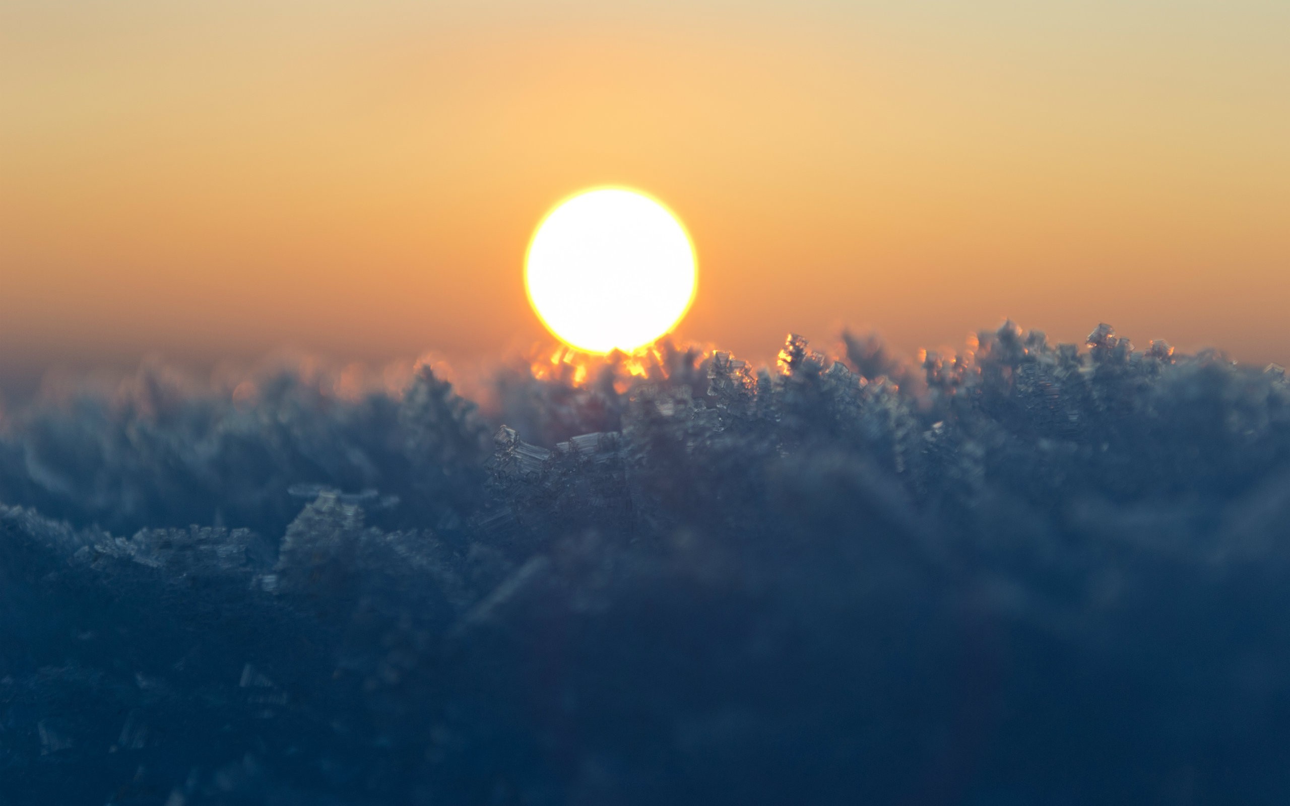 General 2560x1600 Sun bokeh macro frost winter nature cold ice snow outdoors
