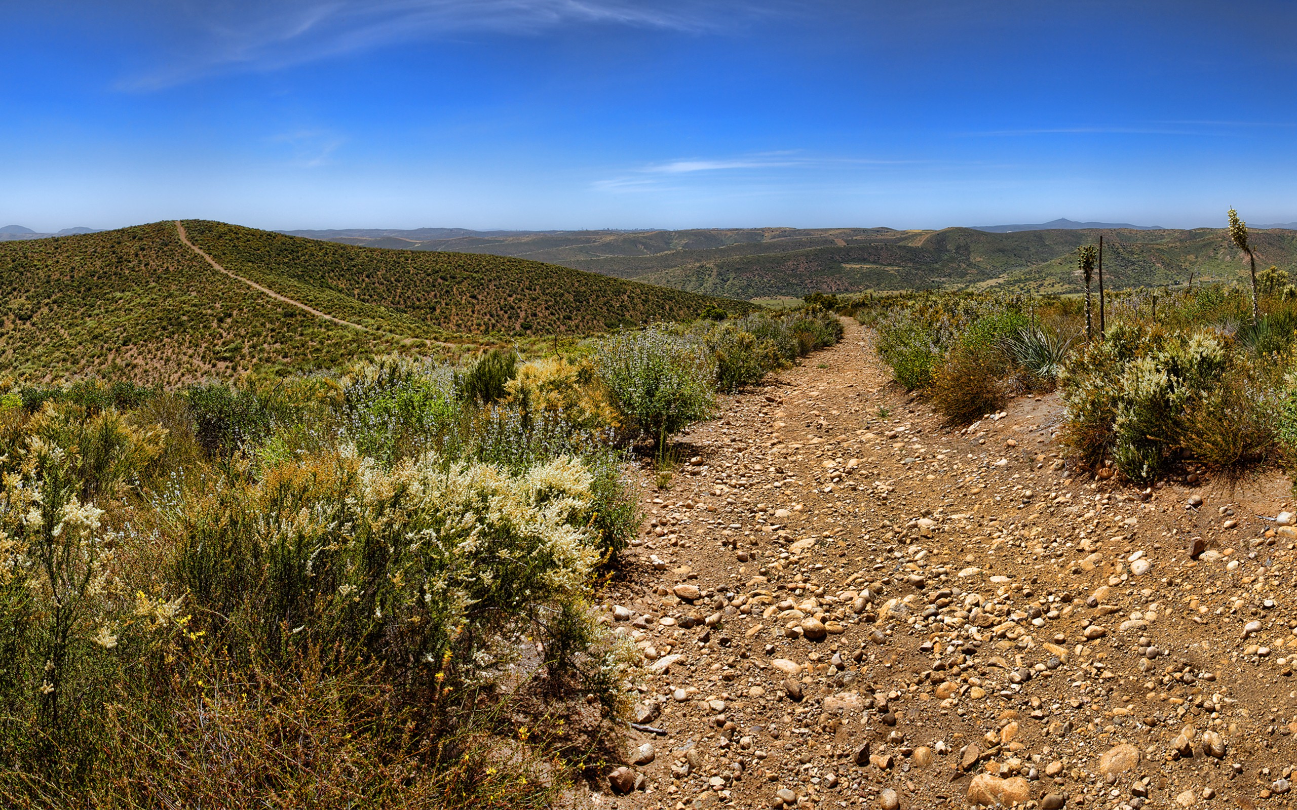 General 2560x1600 landscape desert California national park shrubs dirt road nature USA