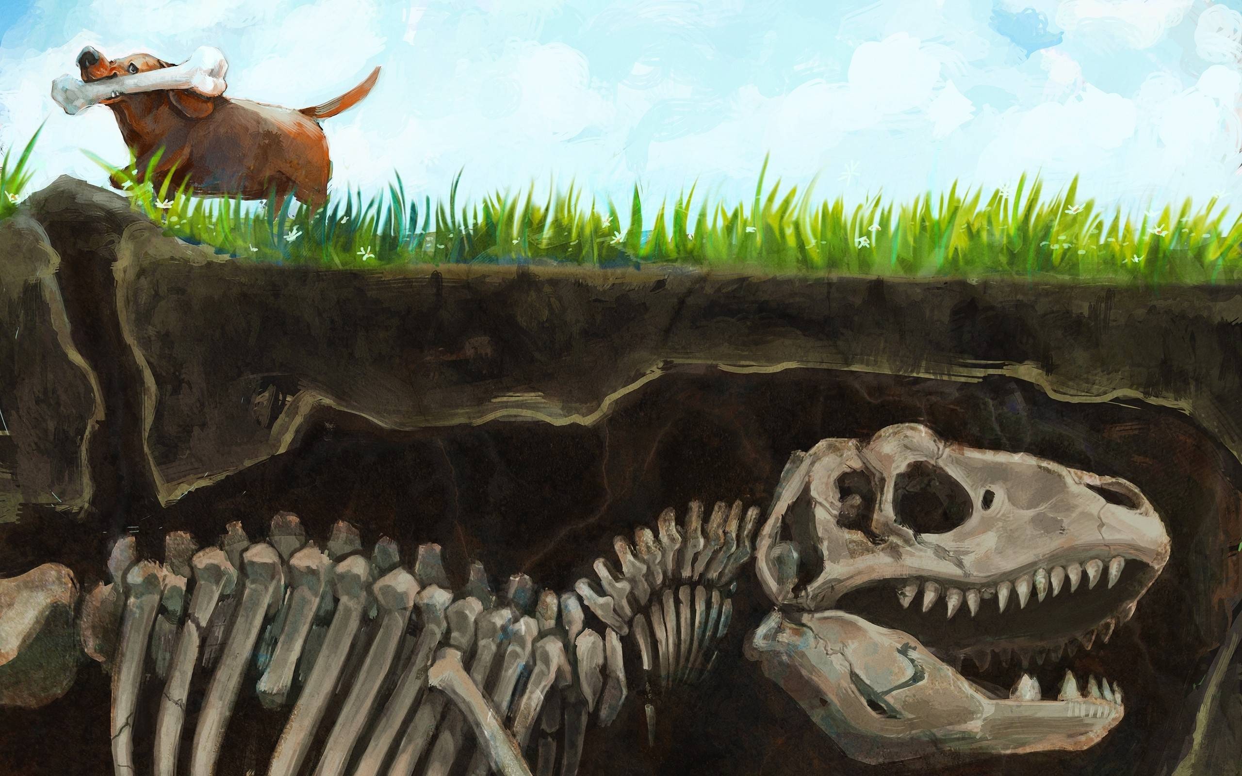 General 2560x1600 artwork dinosaurs dog bones split view evolution animals humor