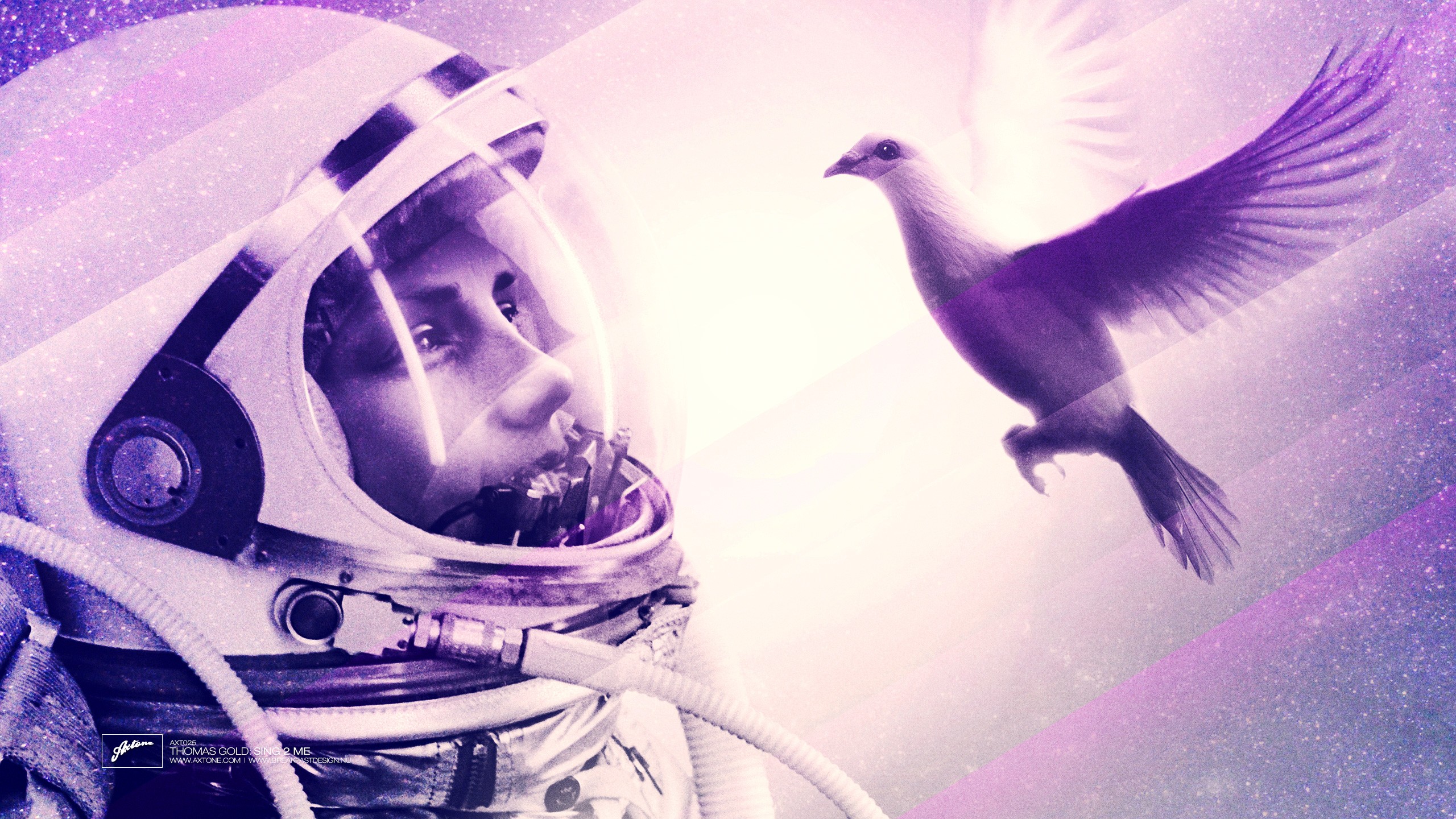 General 2560x1440 Axwell Eternal Sunshine of the Spotless Mind lights birds women animals digital art astronaut