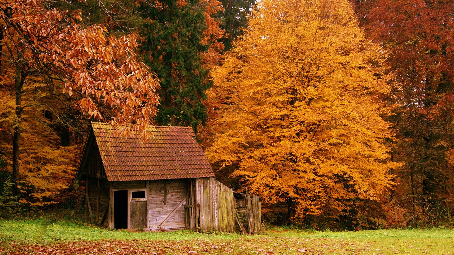 General 1920x1080 fall house leaves nature