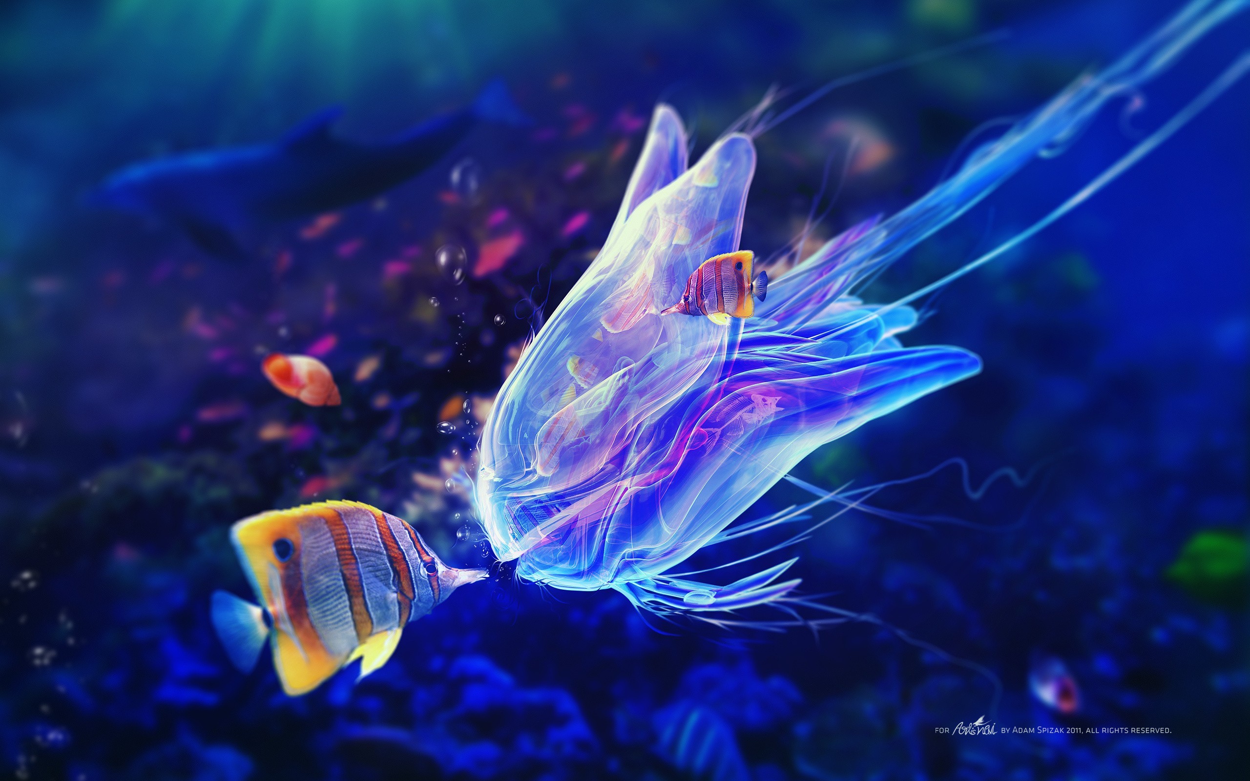General 2560x1600 digital art underwater bubbles Adam Spizak fish sea animals