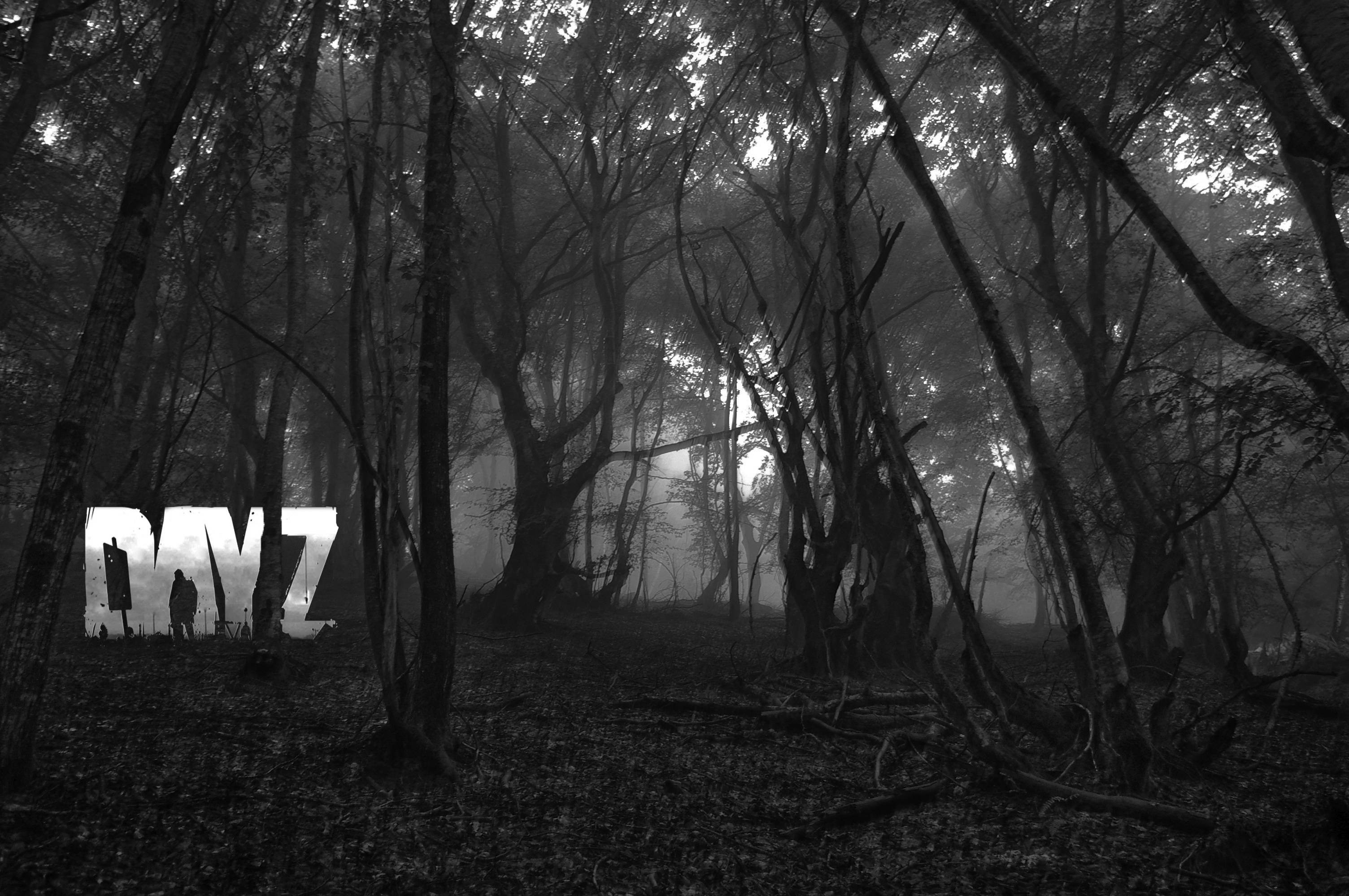 General 3008x2000 video games PC gaming monochrome video game art DayZ trees