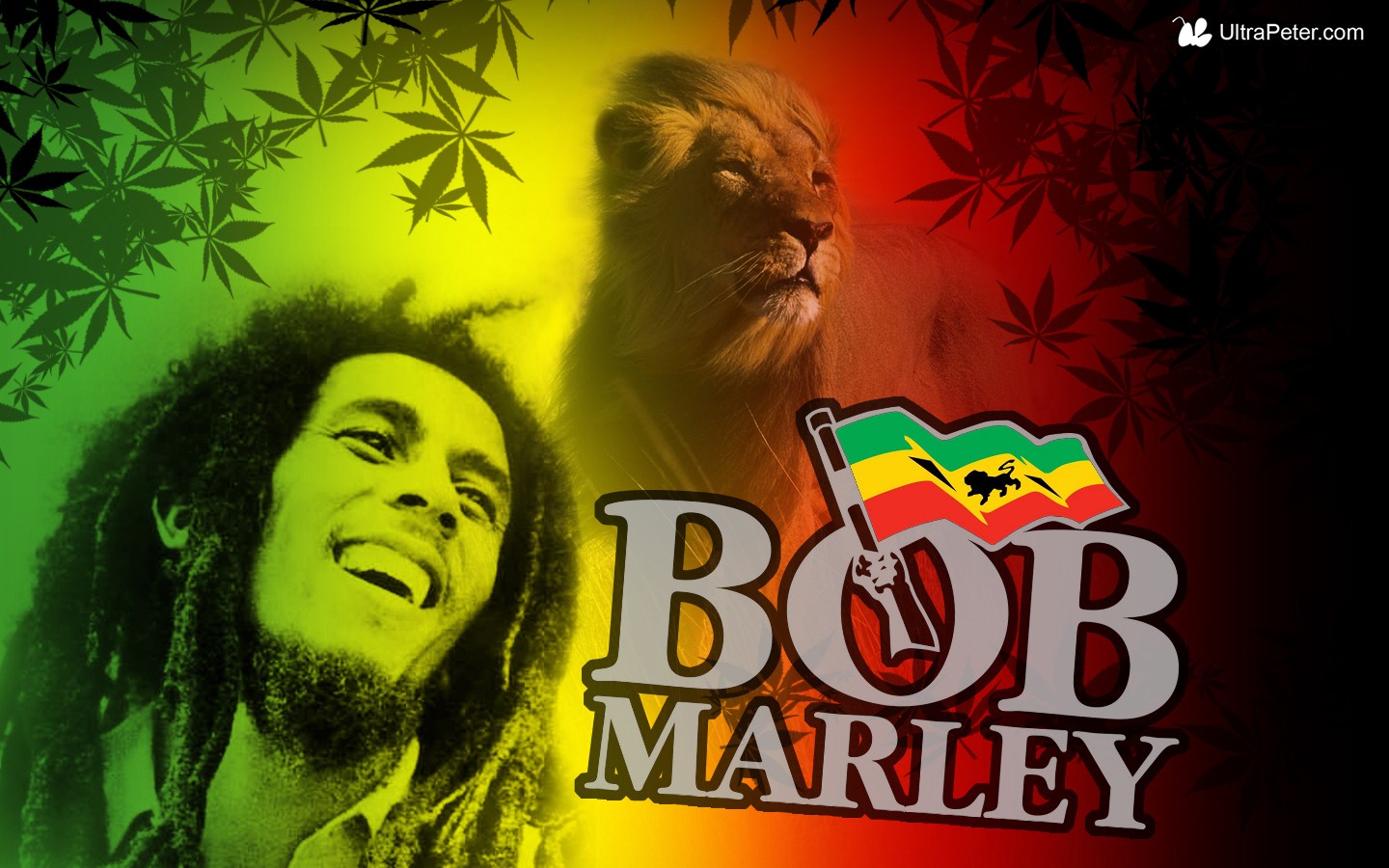 General 1440x900 collage Bob Marley flag men music lion animals mammals