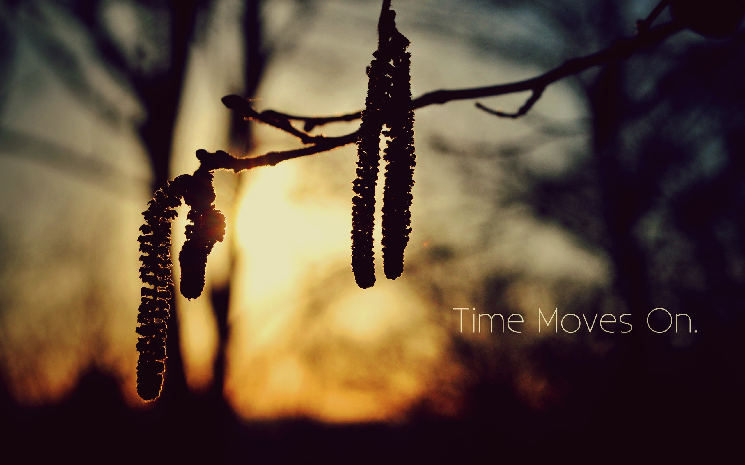 General 2560x1600 nature sunlight twigs blurred silhouette quote time typography