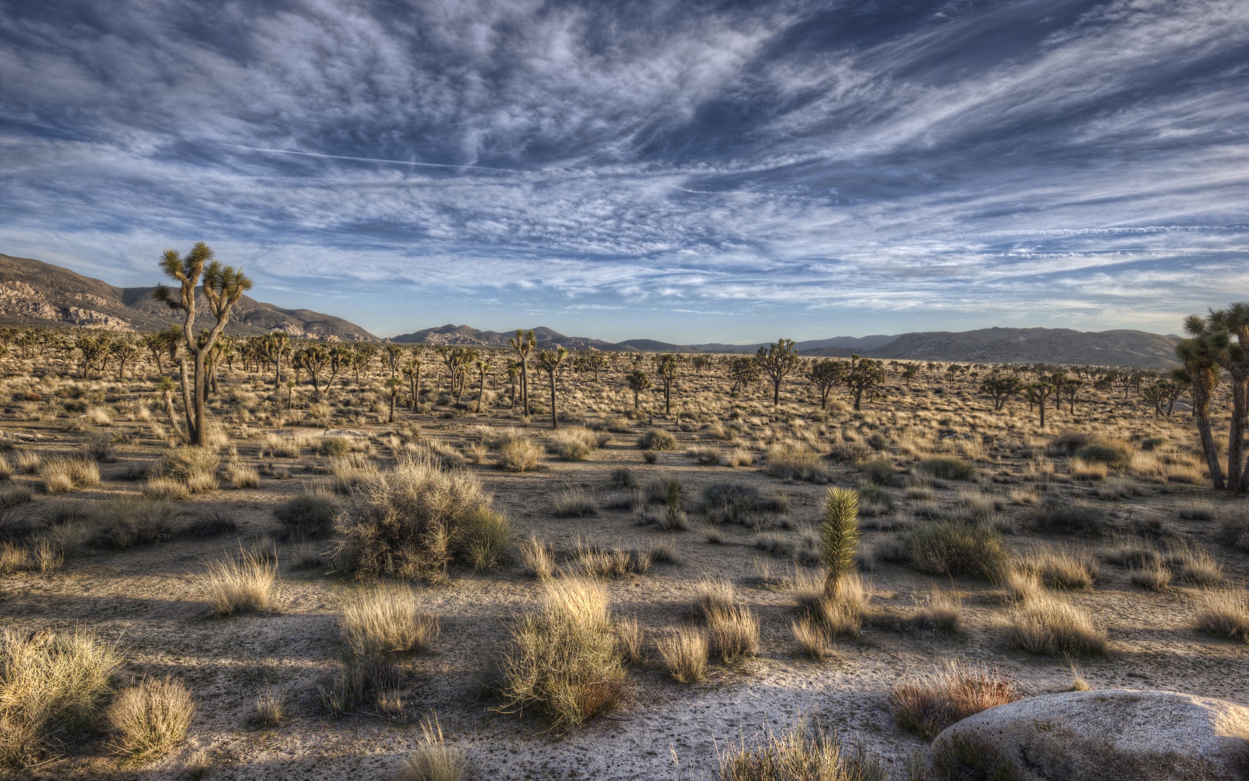 General 2560x1600 nature landscape HDR sky desert clouds outdoors