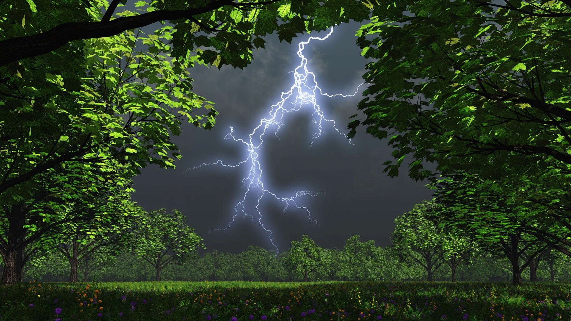 General 1920x1080 lightning nature trees storm