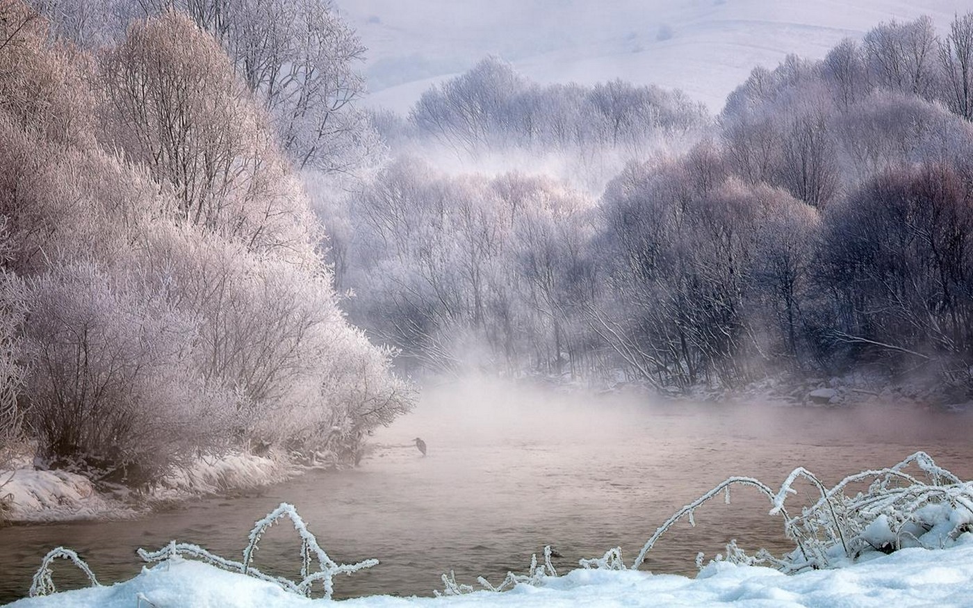 General 1400x875 nature landscape winter mist river trees birds snow frost forest cold white outdoors ice