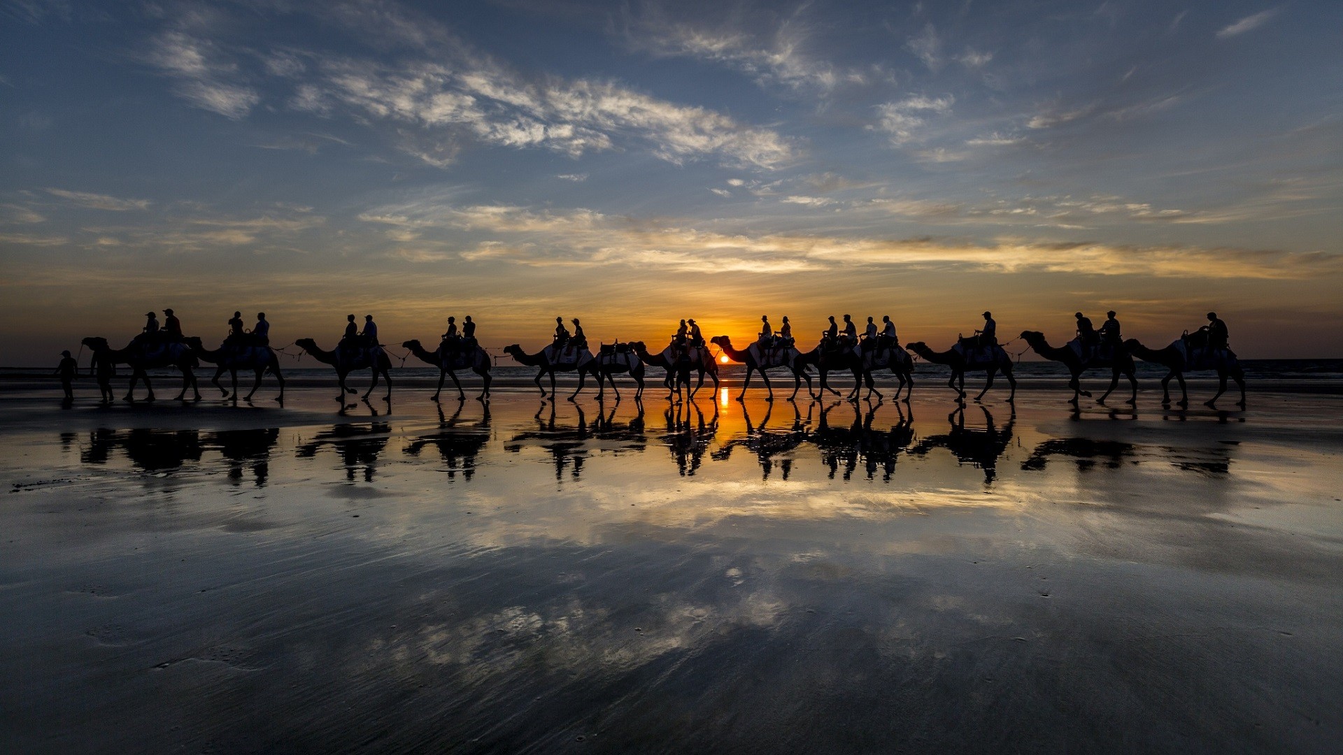 General 1920x1080 camels people silhouette beach sunset animals mammals sky sunlight clouds outdoors reflection