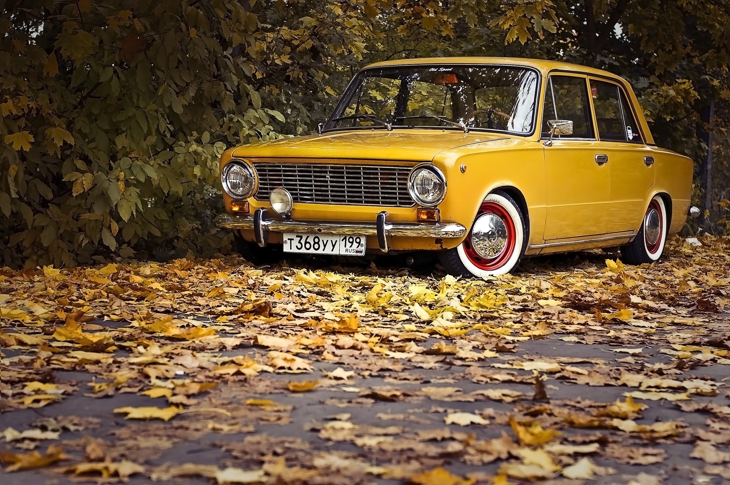 General 2560x1702 car numbers leaves vehicle yellow cars fallen leaves yellow fall