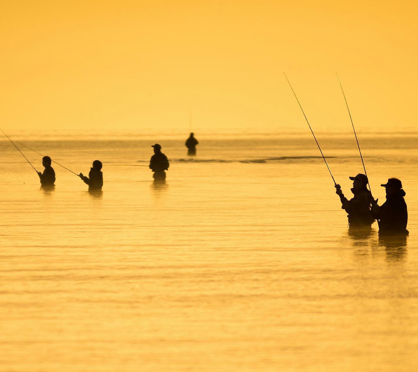 People 1440x1280 fishing rod water outdoors men sky fishing