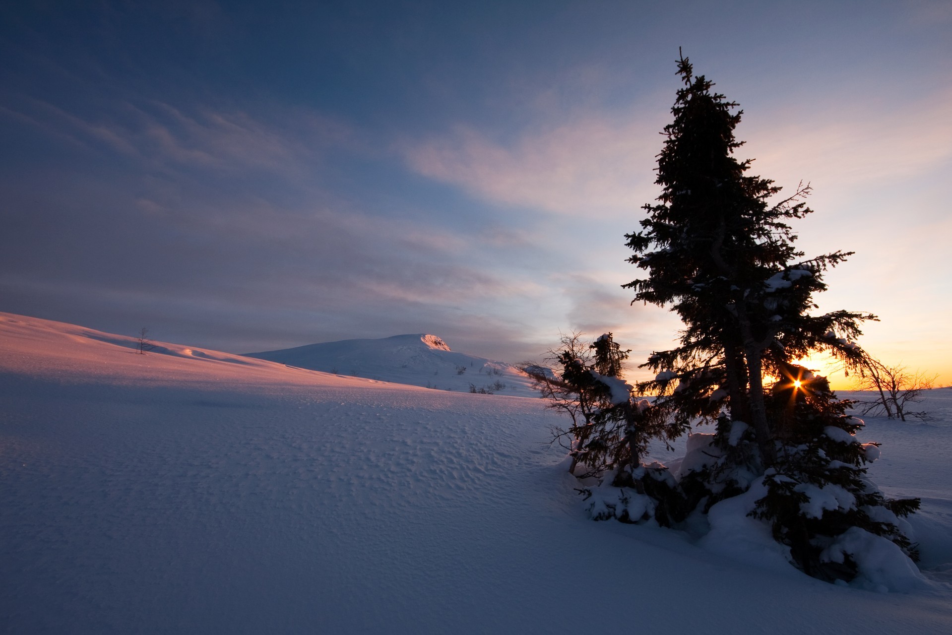 General 1919x1280 winter snow pine trees landscape sunset nature sky