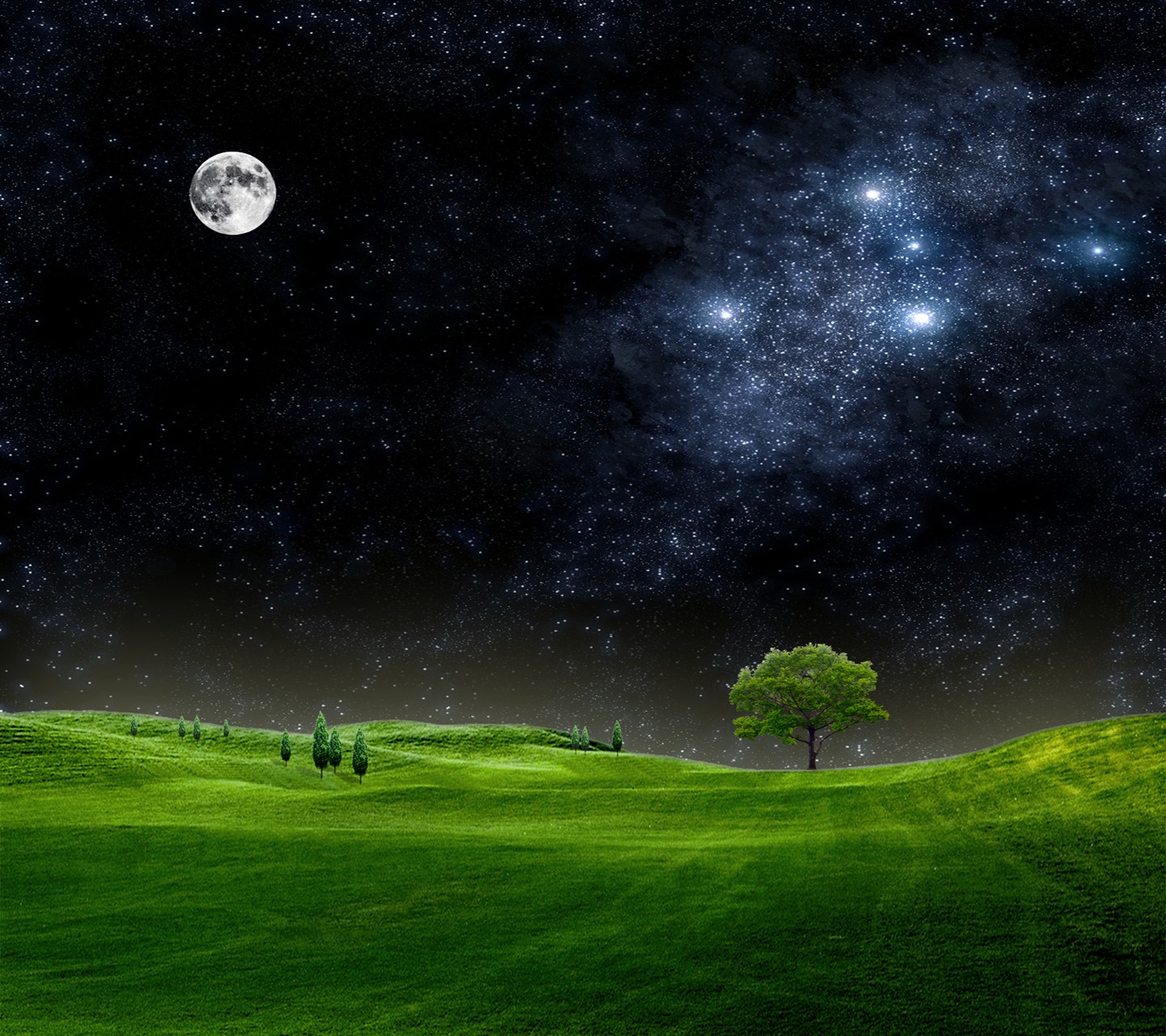General 1440x1280 field night sky trees Moon