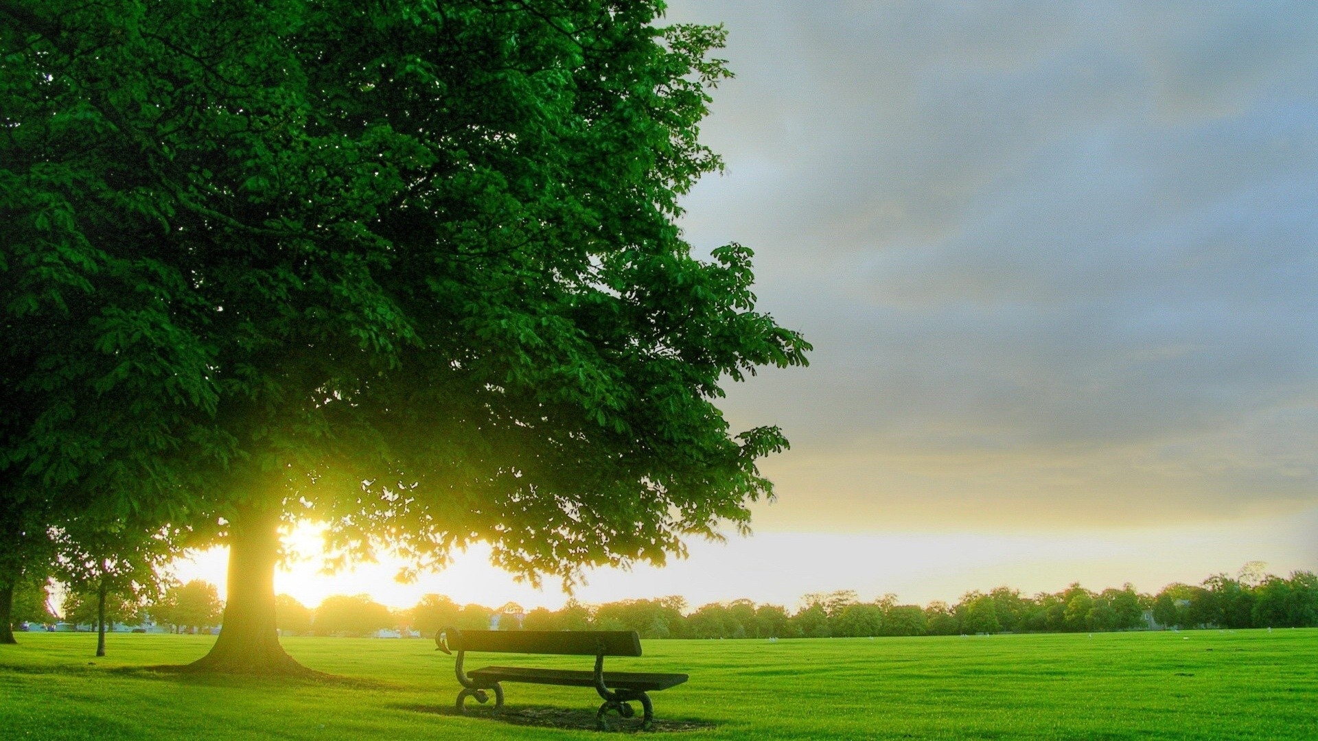 General 1920x1080 park bench grass sunlight sunset outdoors trees