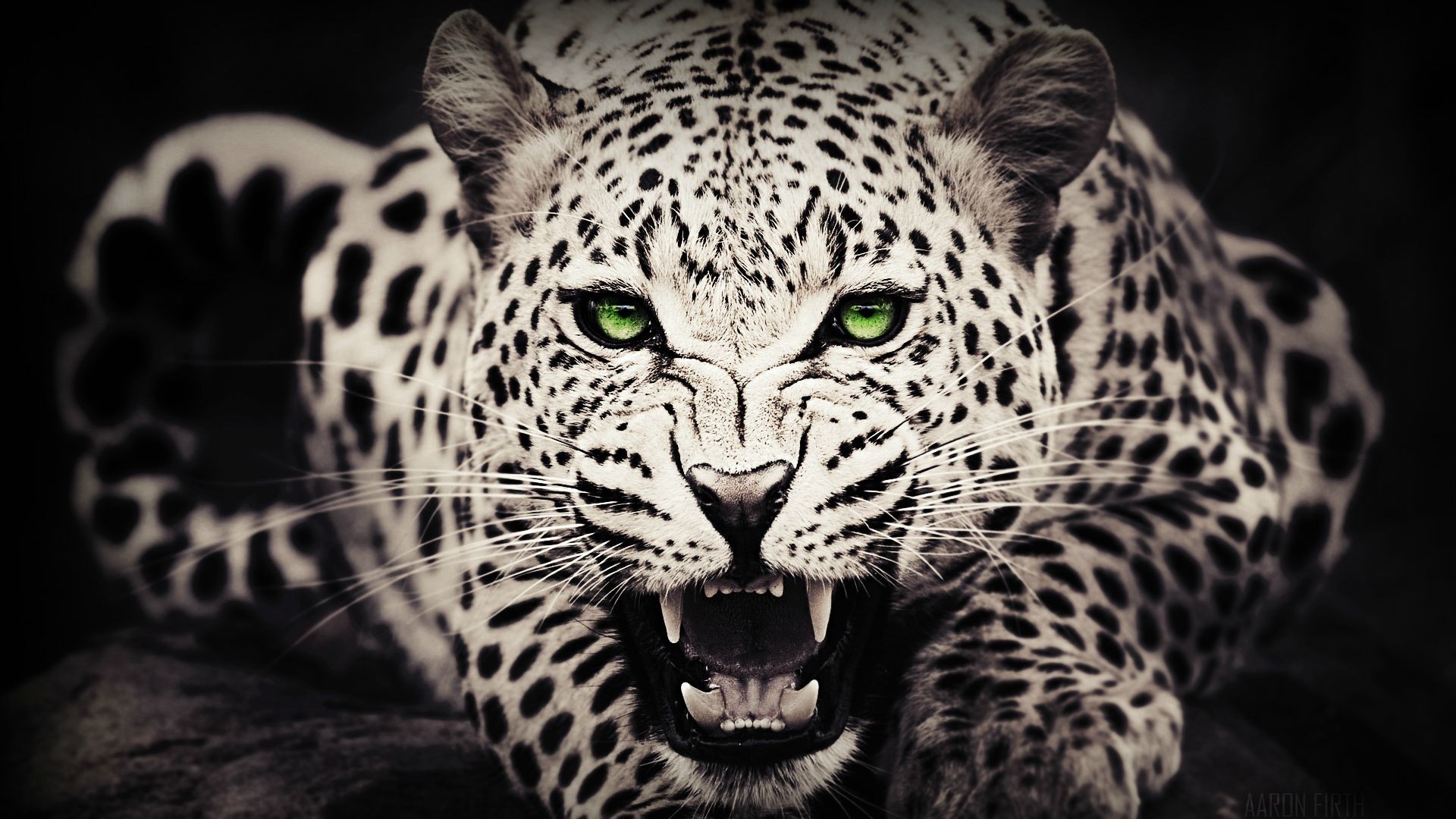 General 1920x1080 animals green eyes leopard selective coloring photoshopped teeth cats big cats mammals closeup fangs