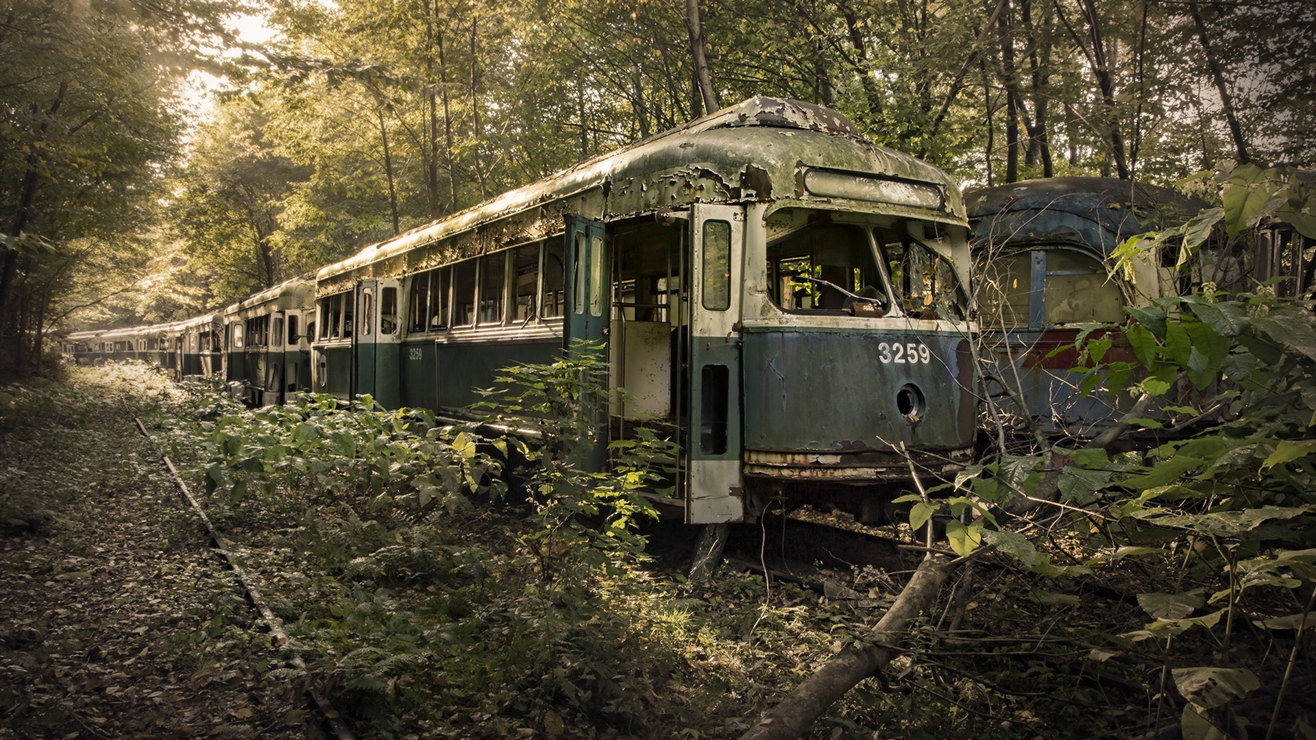 General 1920x1080 nature trees leaves vehicle tram railway rail yard forest branch wreck old abandoned broken rust ruins numbers plants