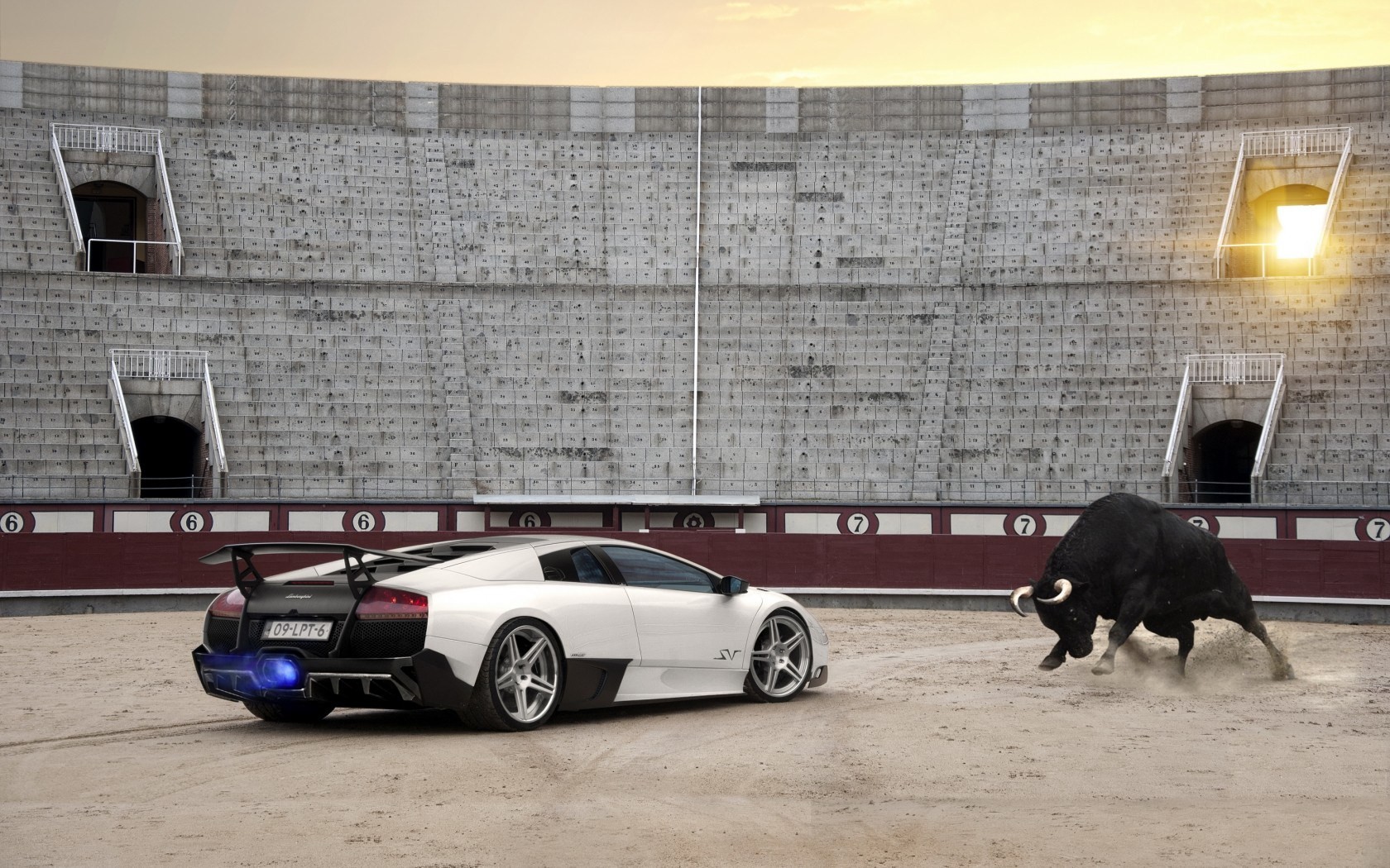 General 1680x1050 Lamborghini bull vehicle supercars animals mammals white cars car humor