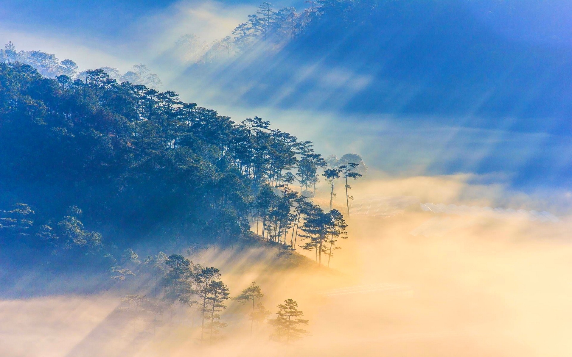 General 1920x1200 nature landscape sun rays Vietnam forest mist sunlight Asia