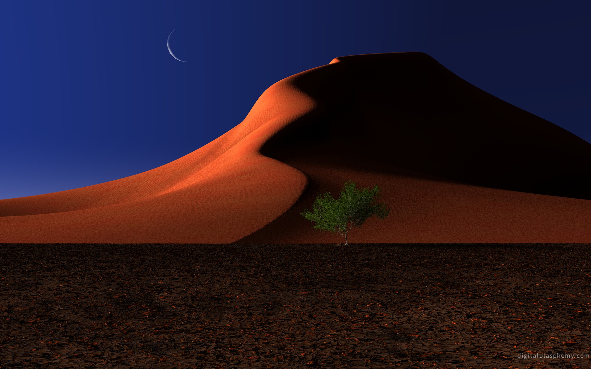 General 1920x1200 desert Moon night trees dunes nature landscape