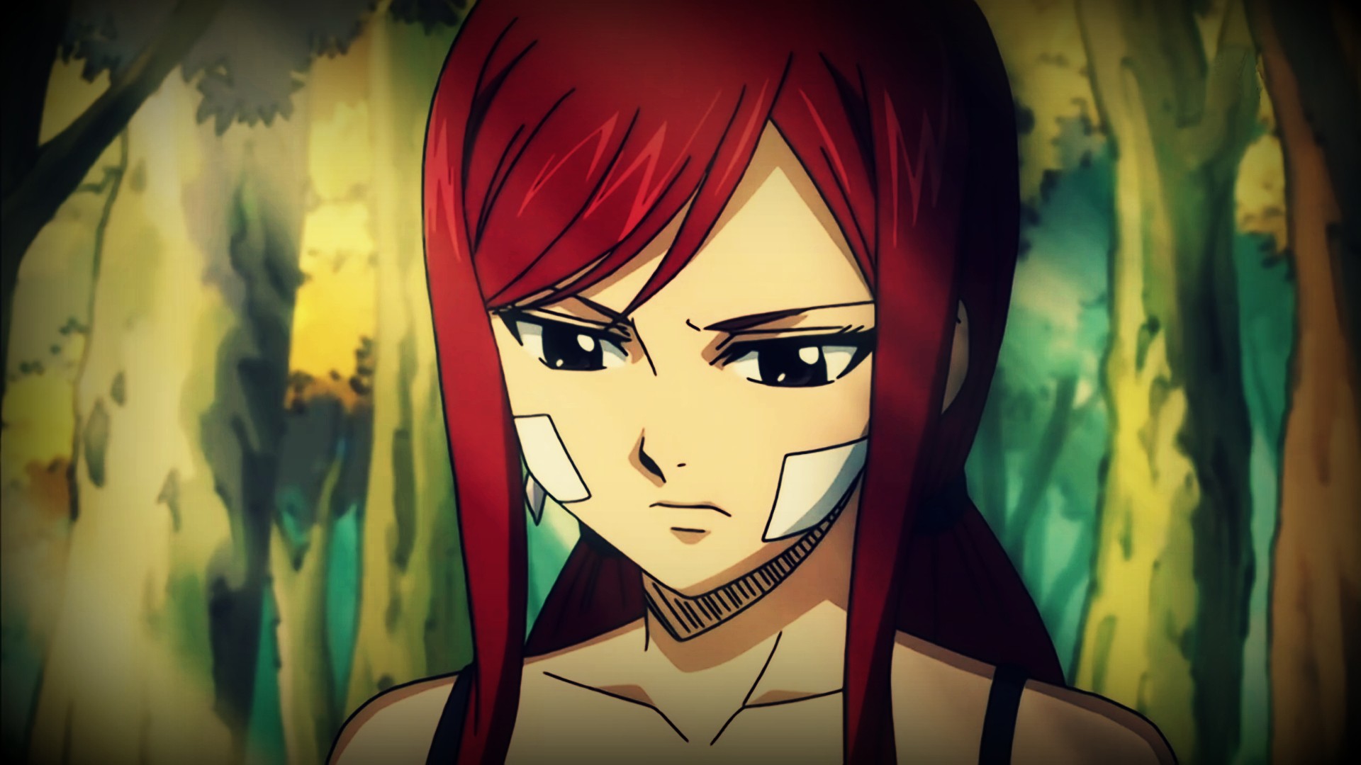 Anime 1920x1080 anime Fairy Tail Scarlet Erza redhead dark eyes face anime girls