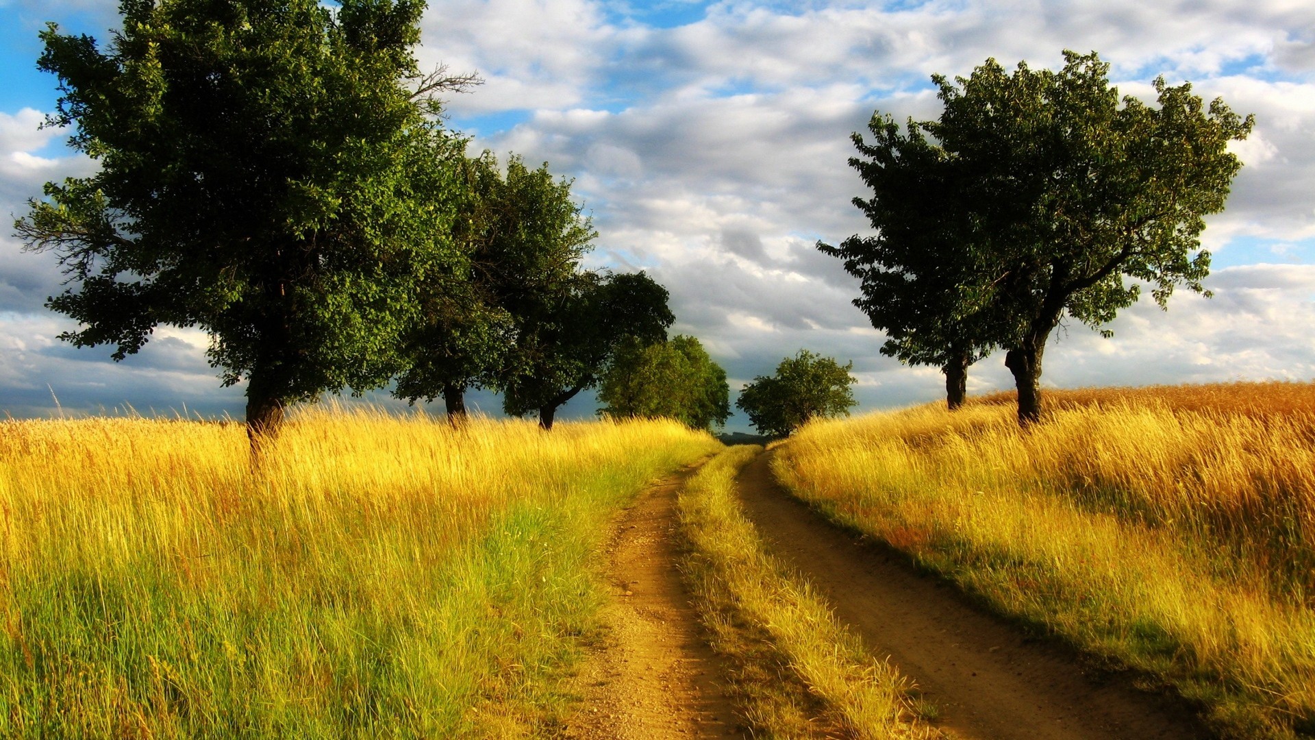 General 1920x1080 nature landscape dirt road trees wheat