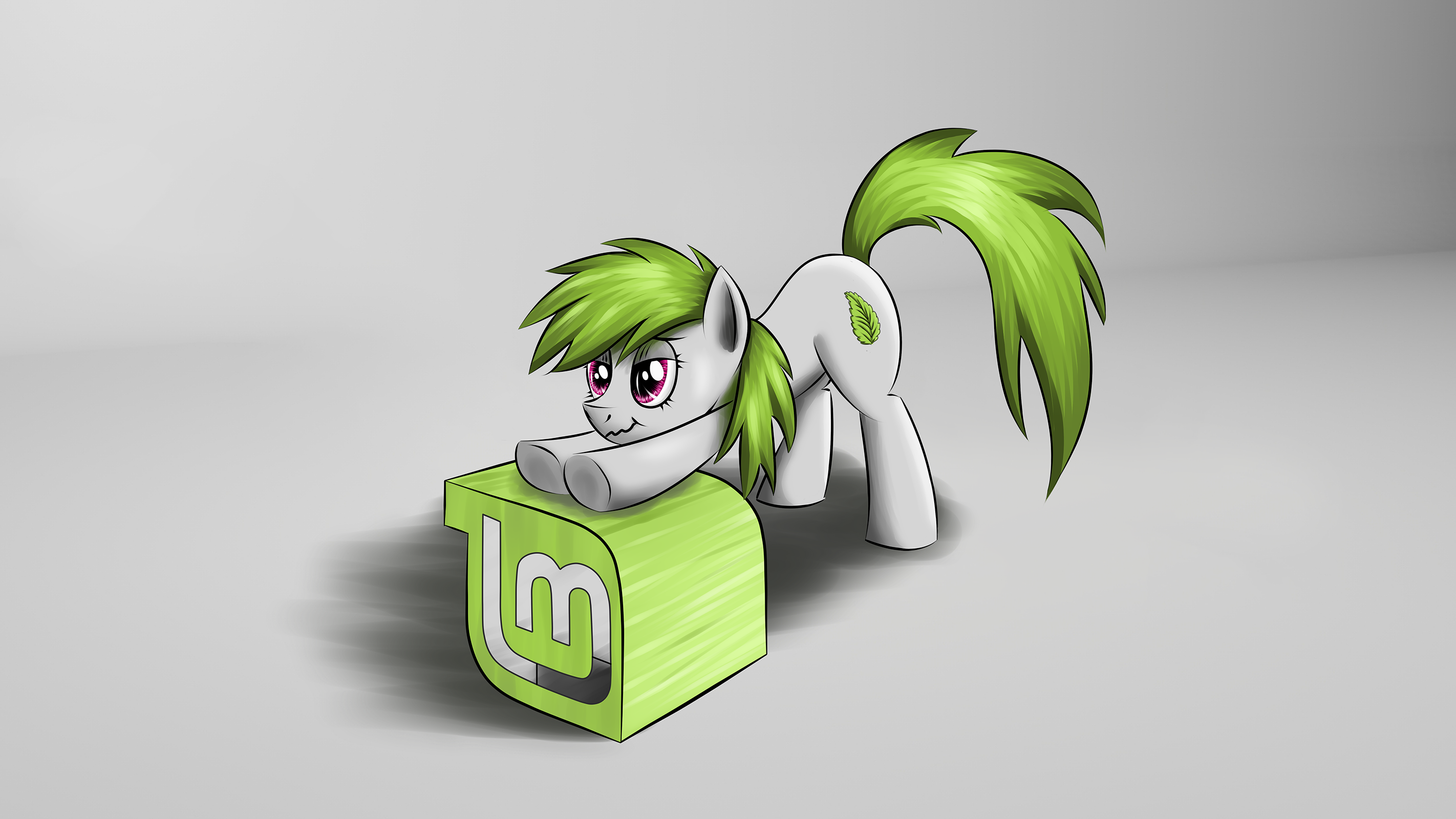 General 2844x1600 My Little Pony Linux Mint simple background gray background gradient logo operating system
